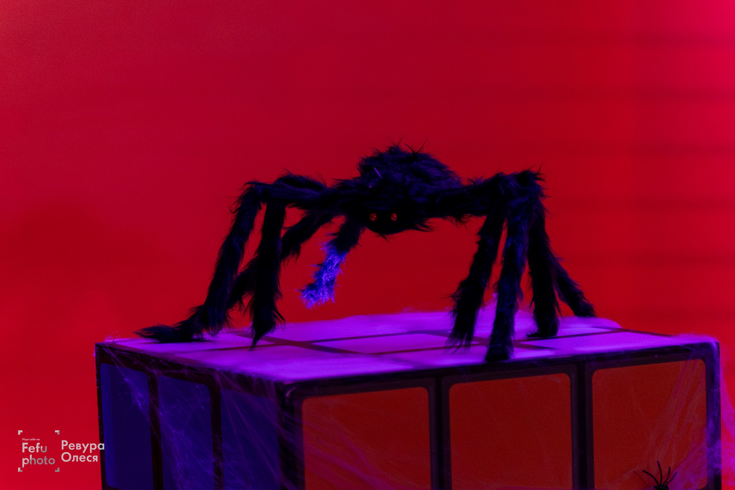 Спидкубинг. Репортажный и портретный фотограф в Владивостоке