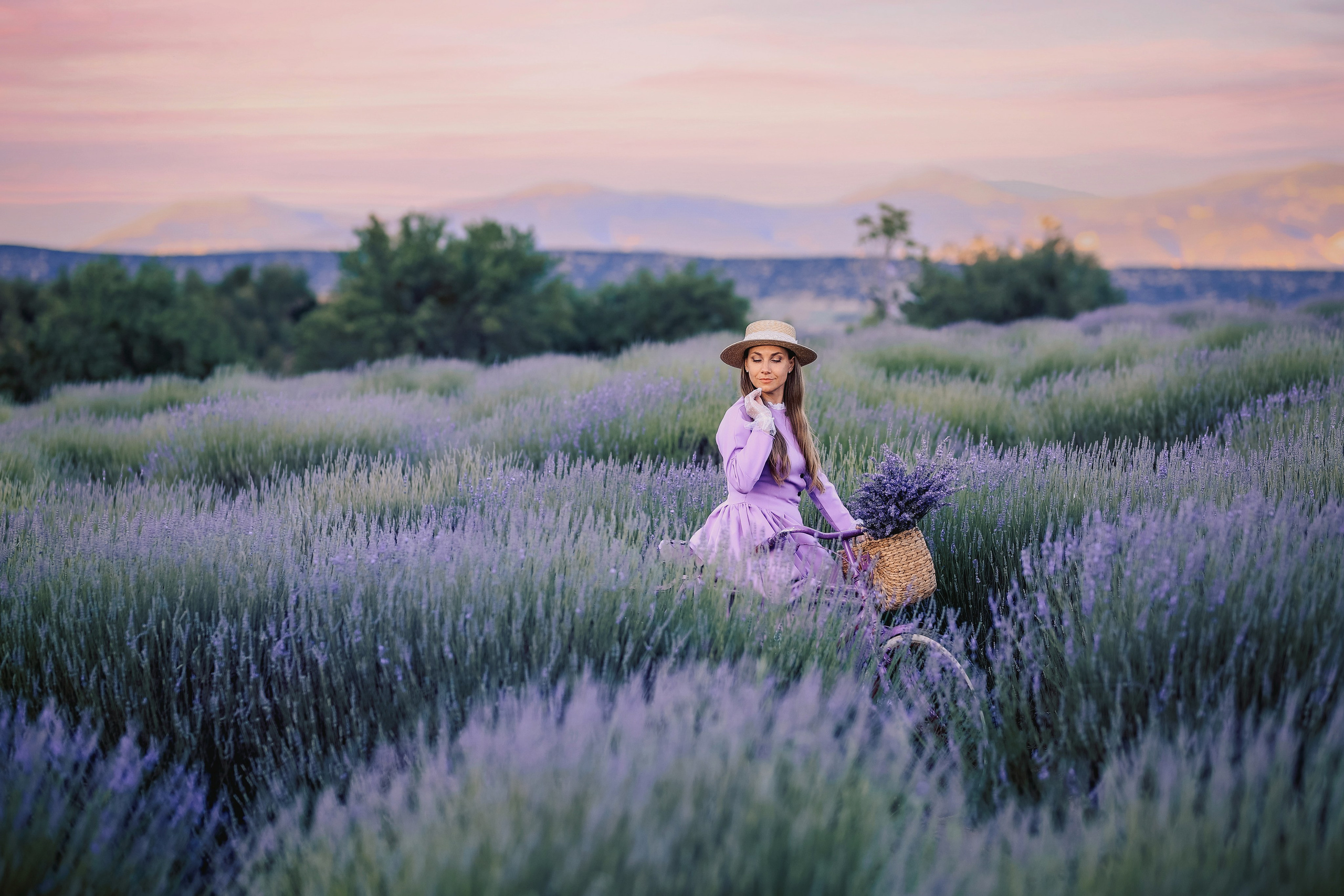 Lavender fields in Turkey