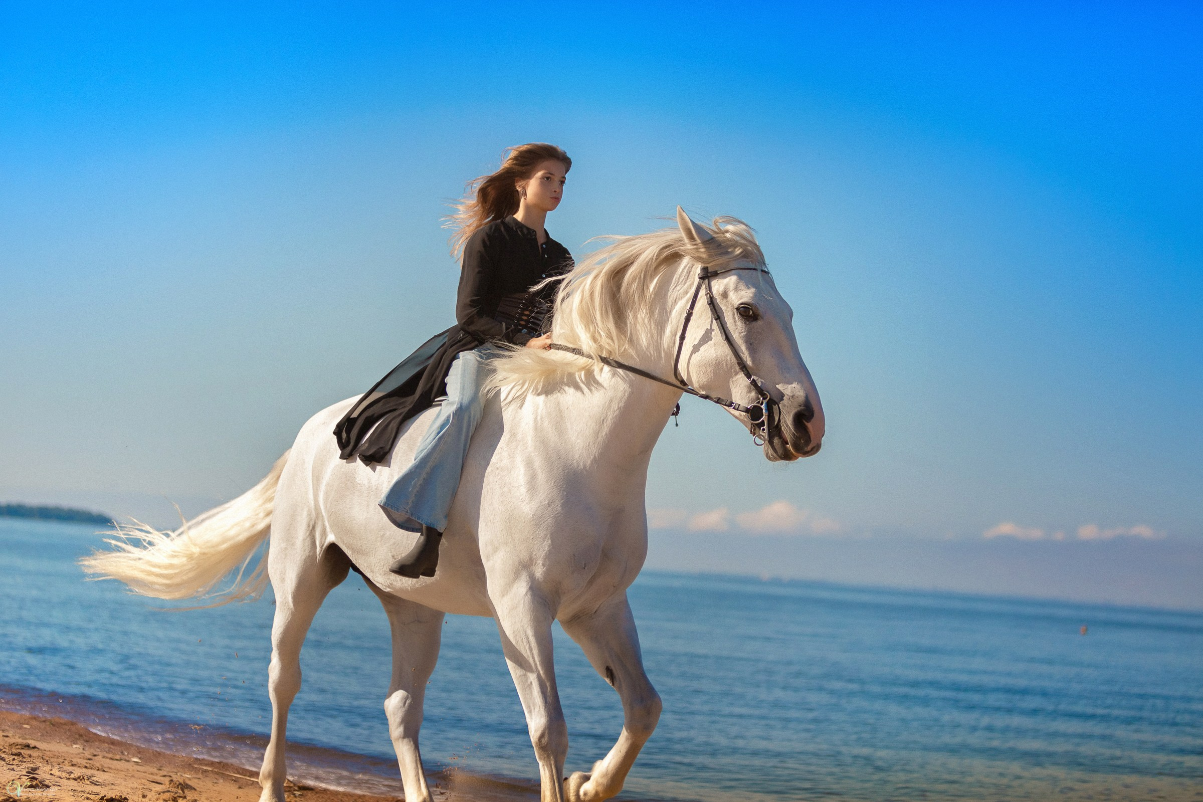 Девушка верхом на коне скачет вдоль залива, фотосессия с лошадьми загородом СПБ