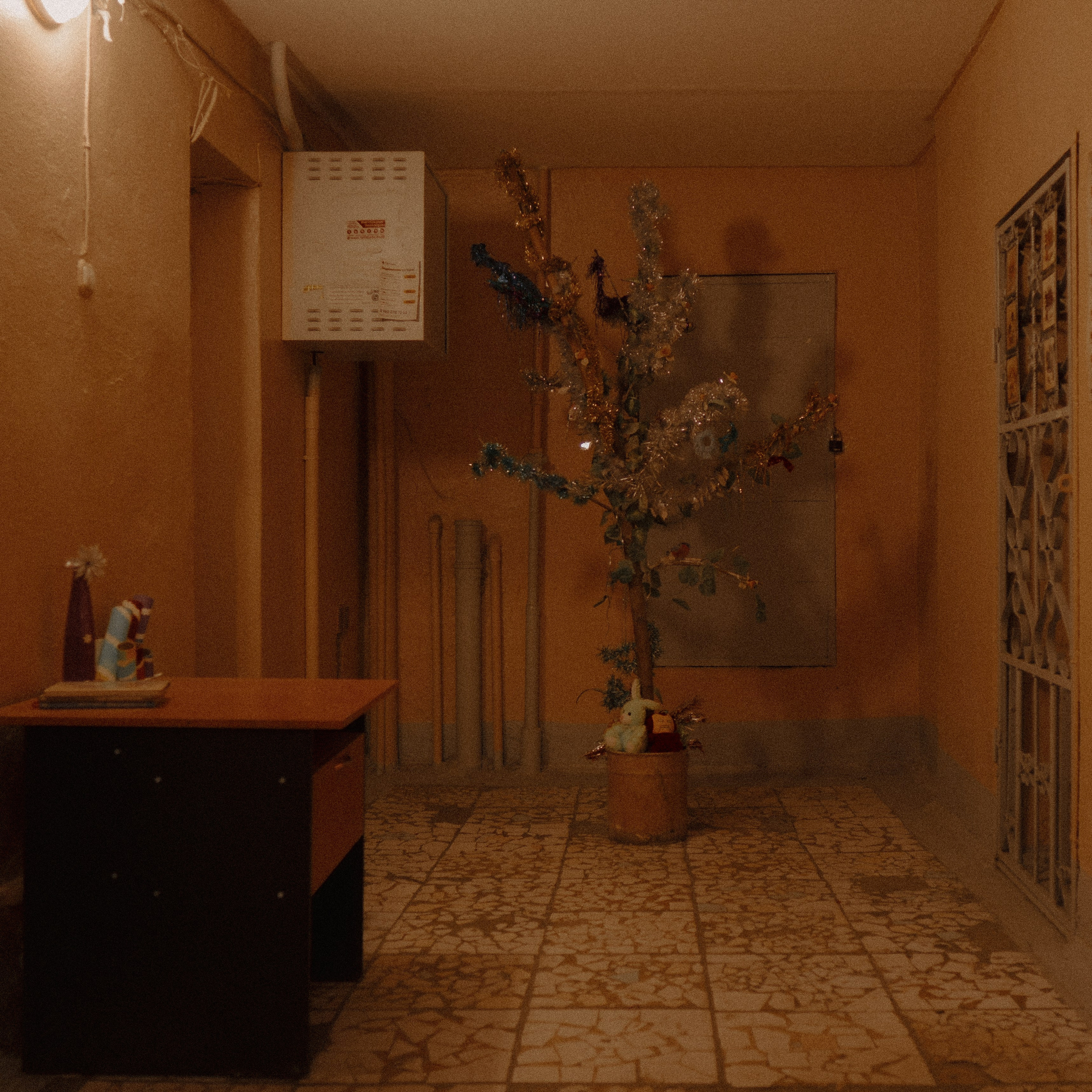 Тула '25. Фёдор Малюгин. Ваш бади в визуале