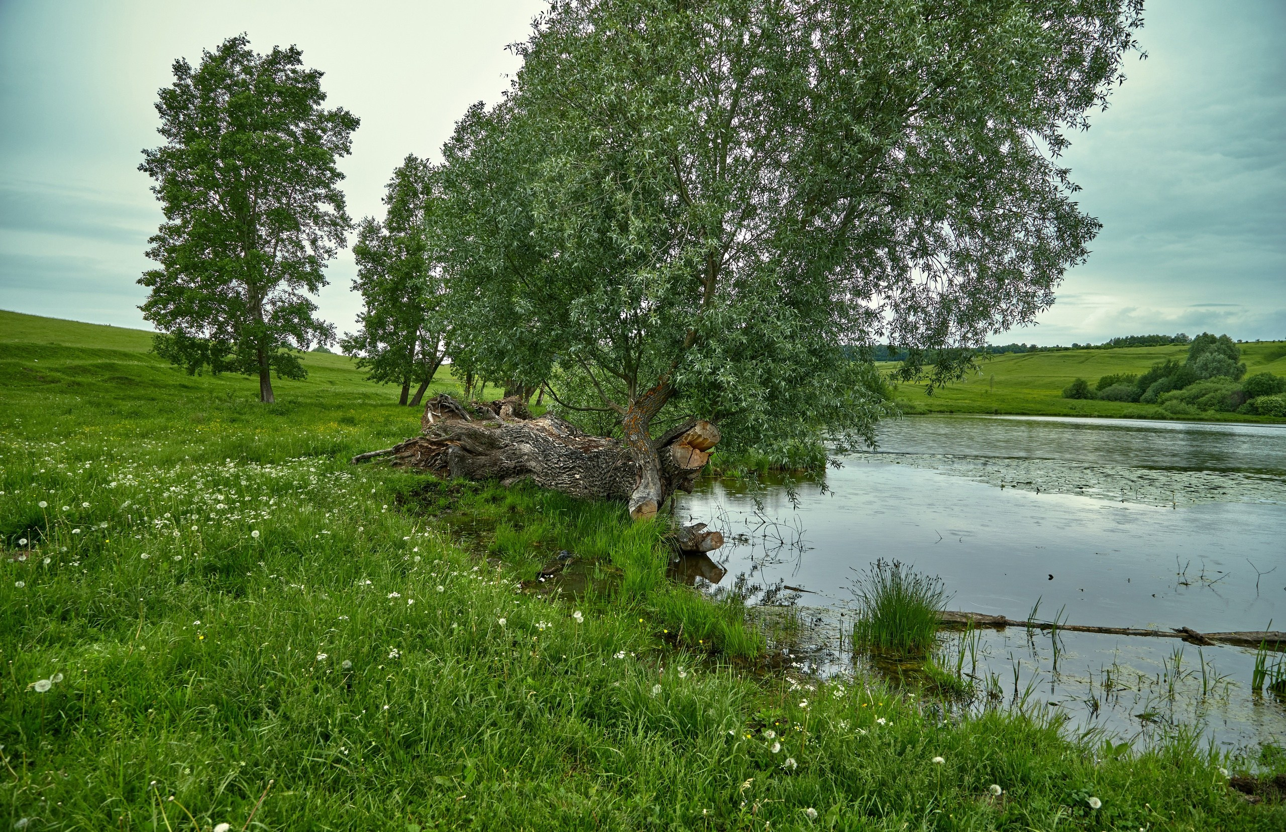 Пейзажная фотосъемка. Владимир Суздалов (ProMaXe) — Портретный фотограф, тематические фотосессии в Чебоксарах
