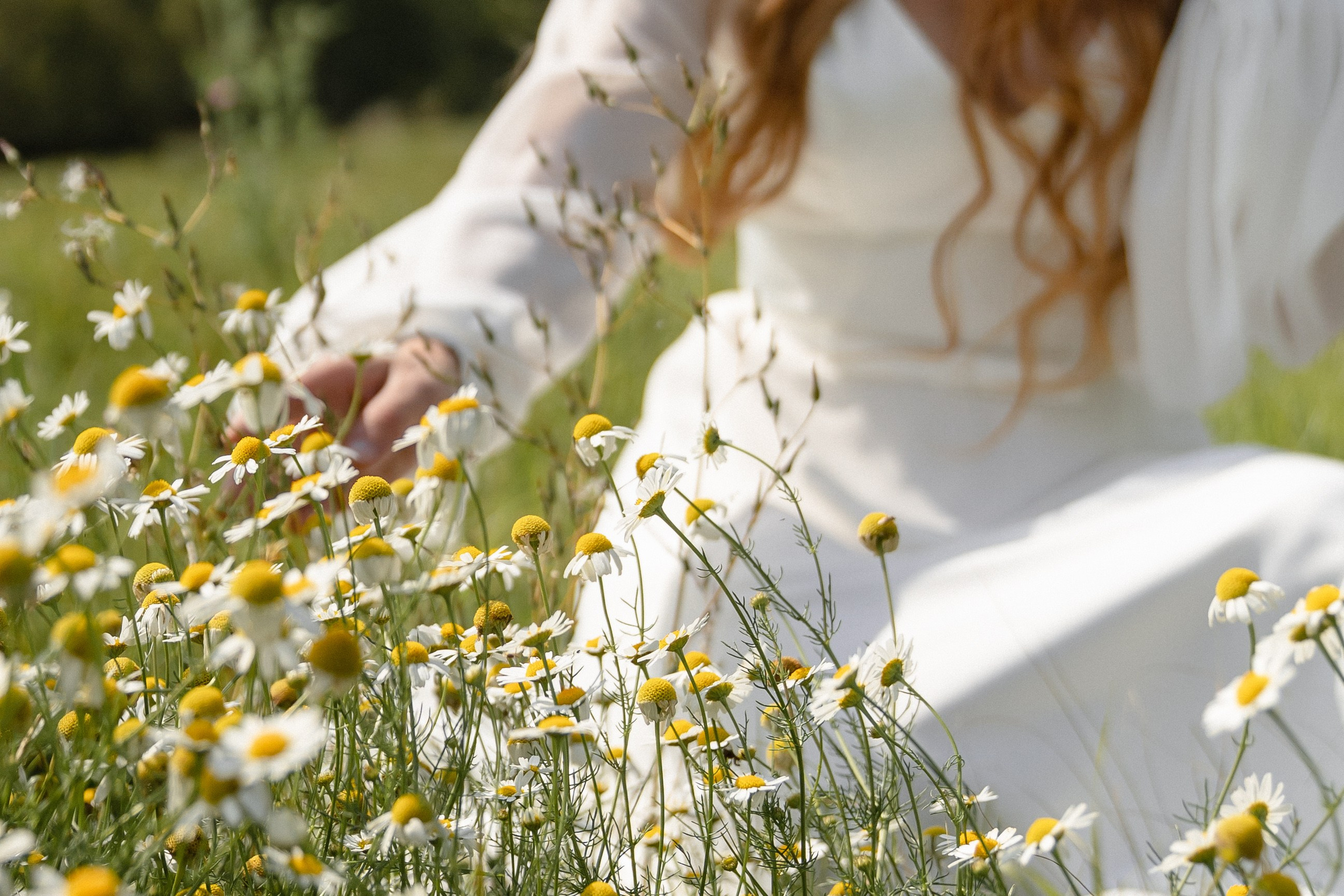 Встретились, влюбились, навсегда. Нина и Женя. Свадебный и семейный фотограф в Магнитогорске Катя Буряк