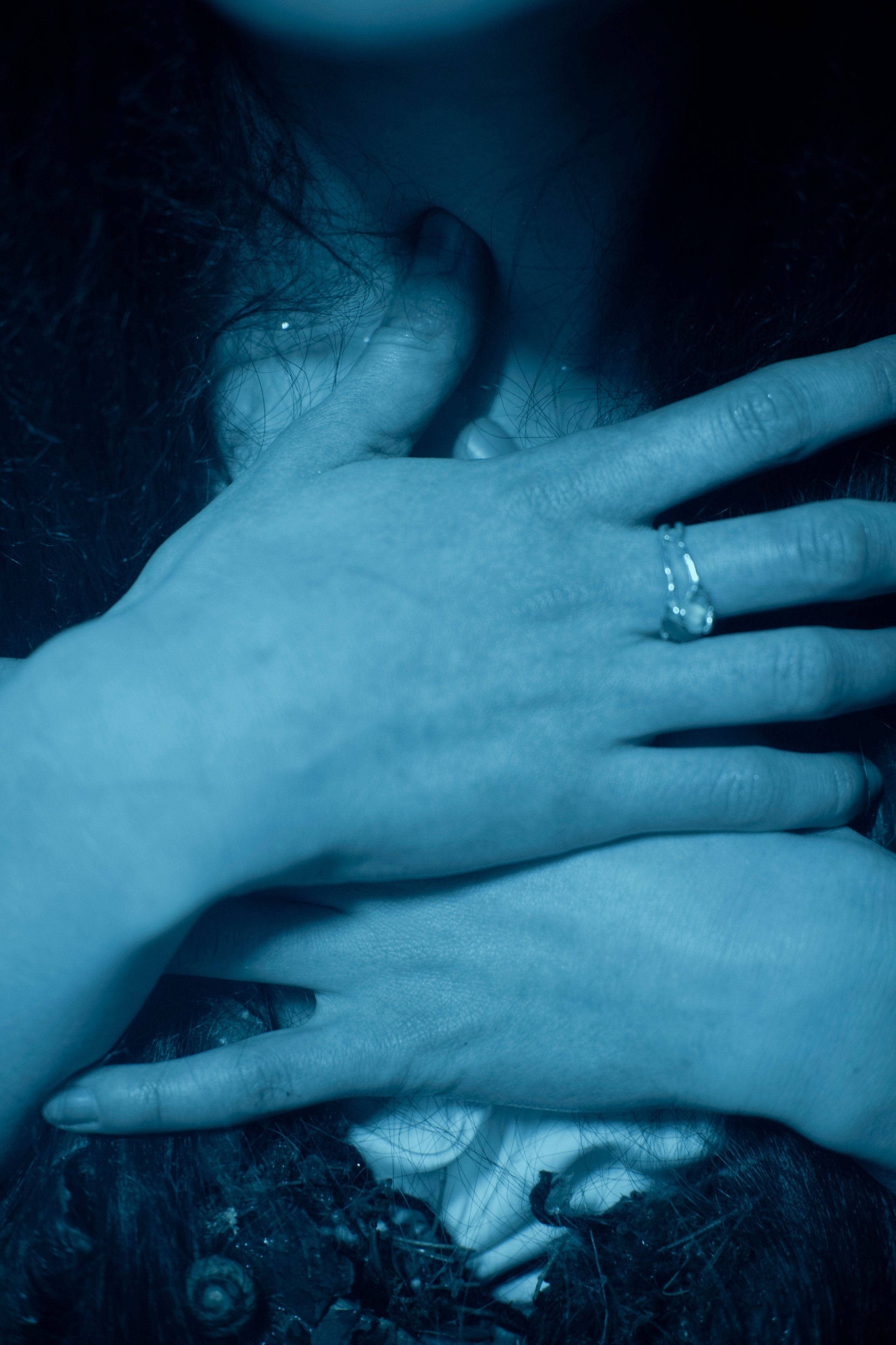 THE TRUE SELF. Rosebud. core production