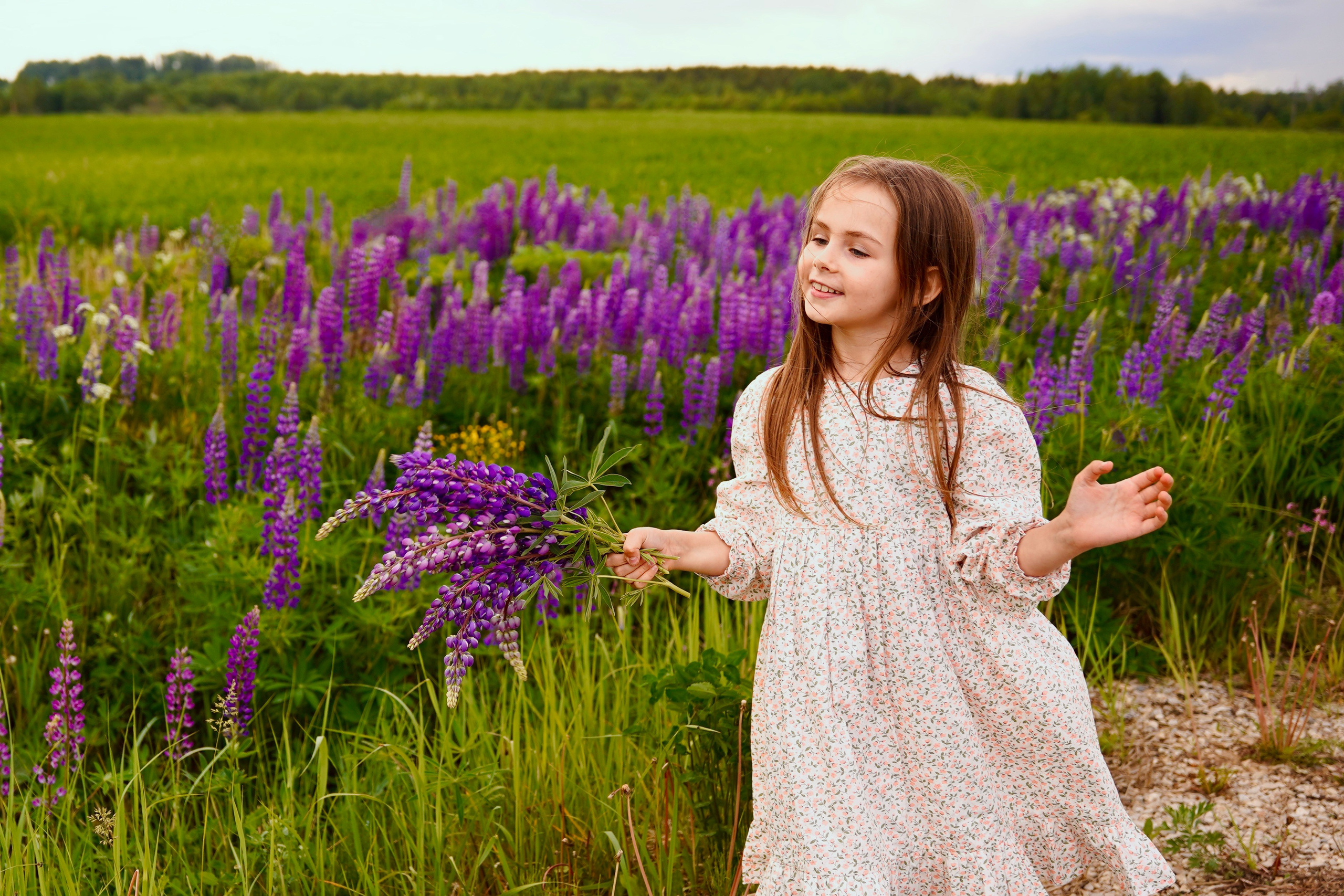Когда цветут люпины. Семейный и детский фотограф Александра Гвоздикова