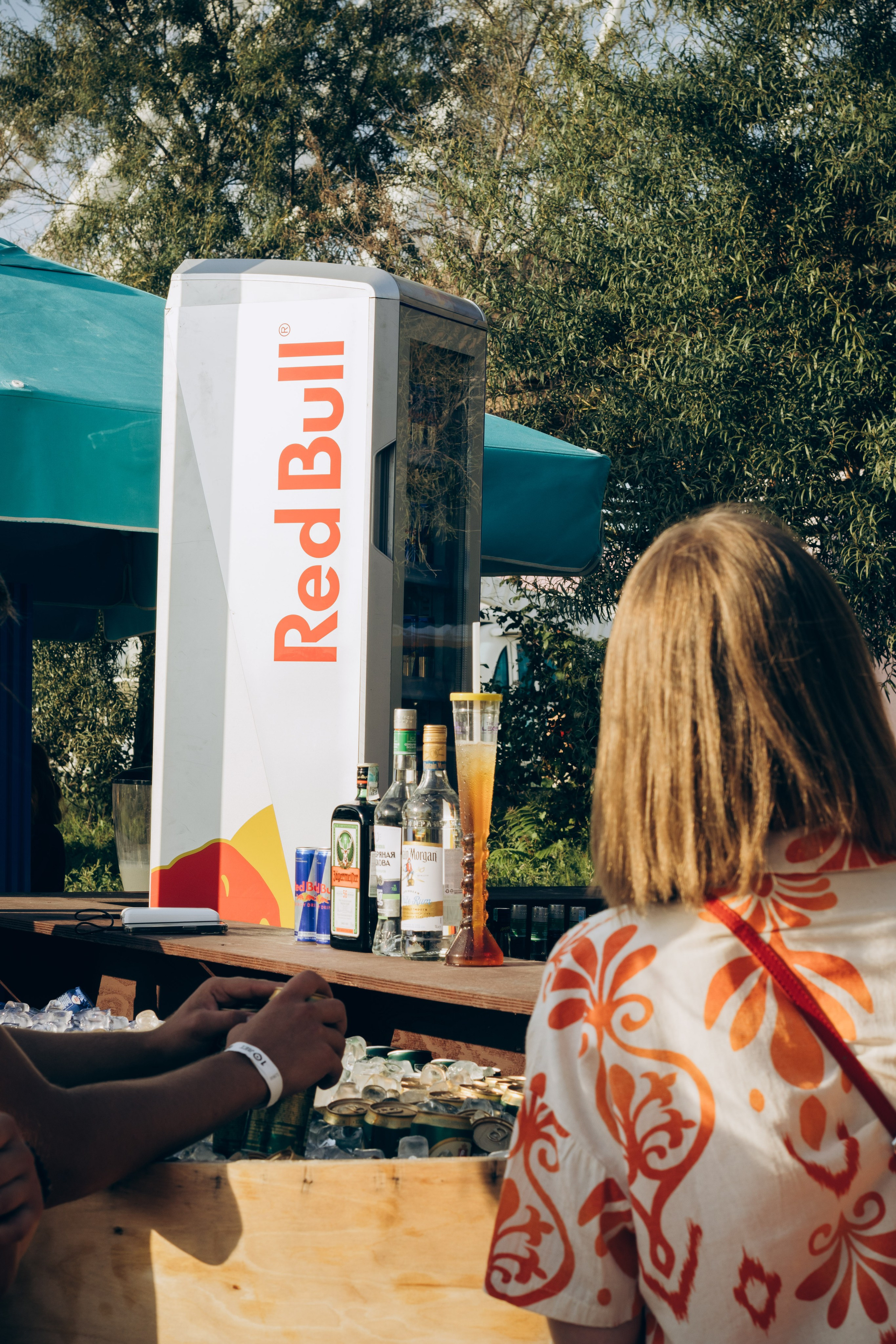 Picnic by partners. Главная