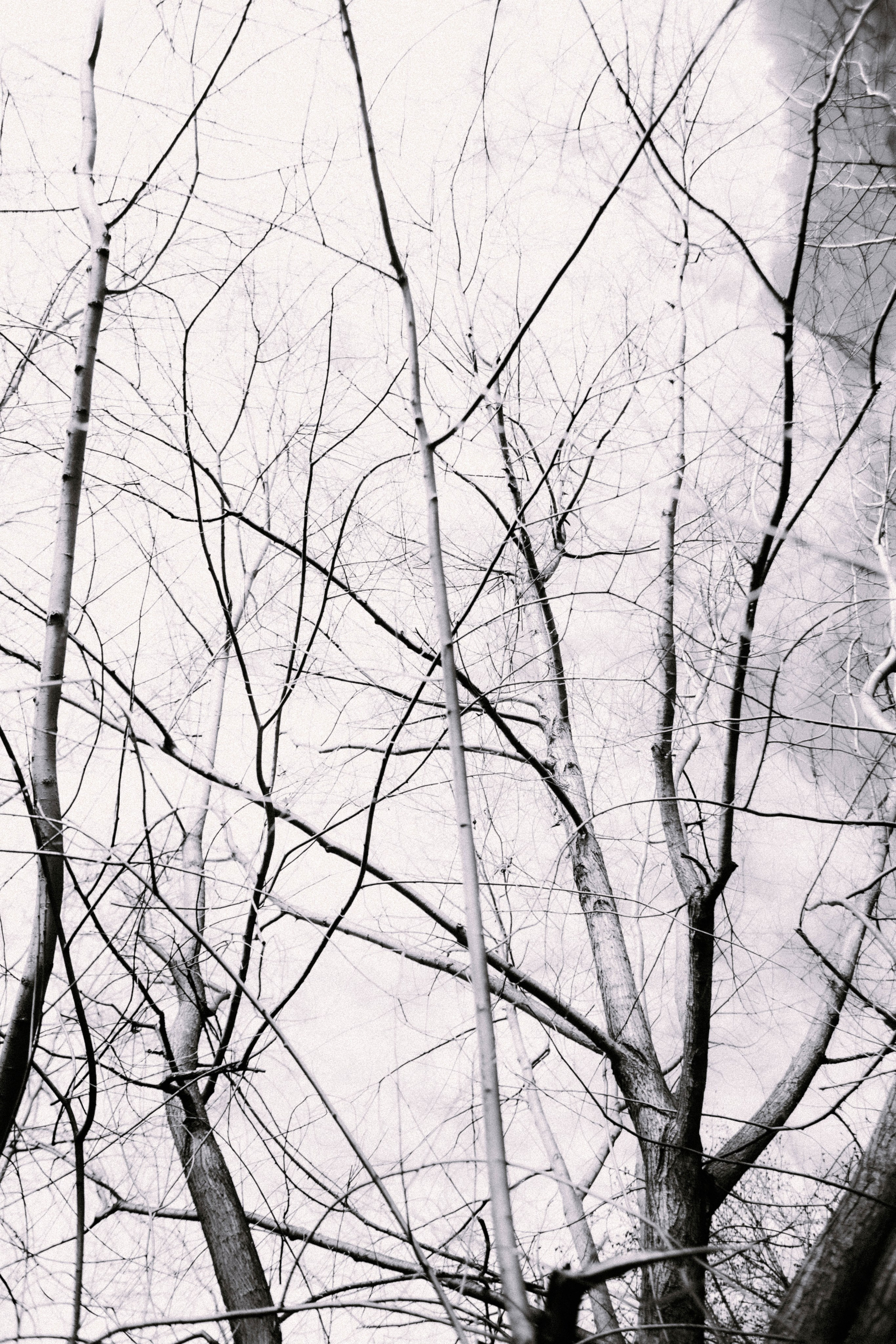 Юля Апрель. Фотограф в Нижнем Новгороде