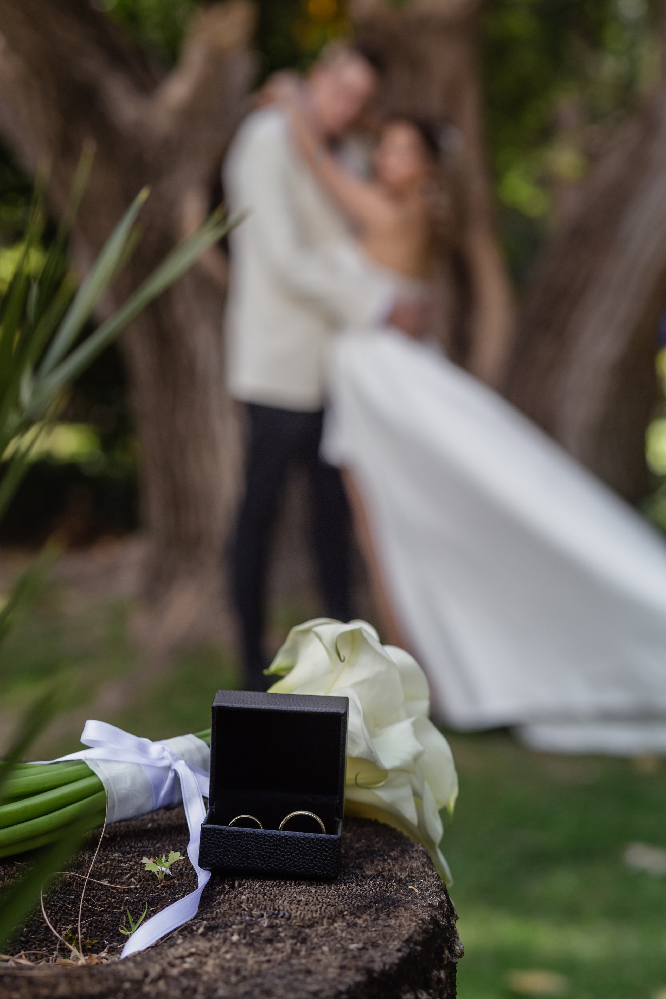 Niloofar&Michael. Professional family and children’s photographer in Izmir Irina Eron