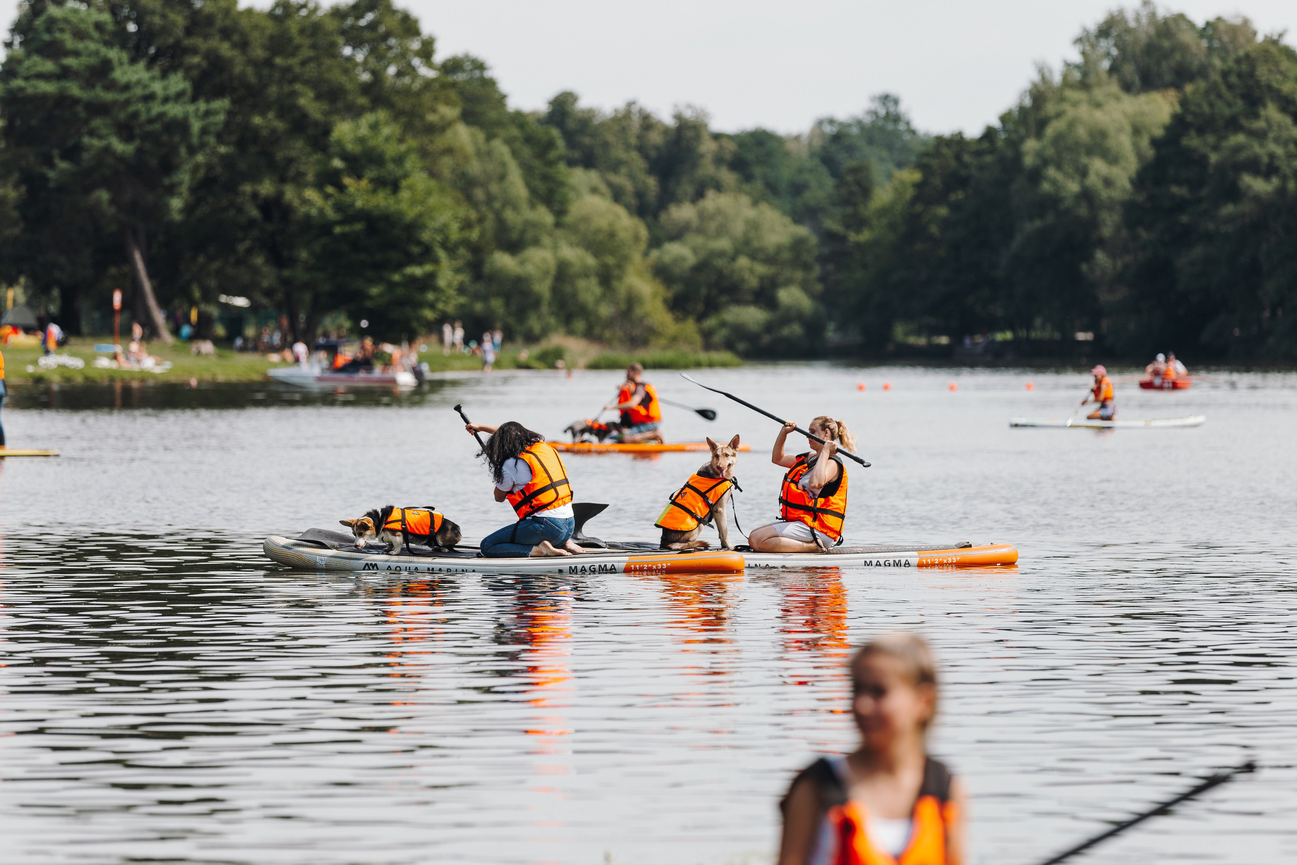 Petshop Sup day. Фотограф анималист Кристина Карпова, Москва