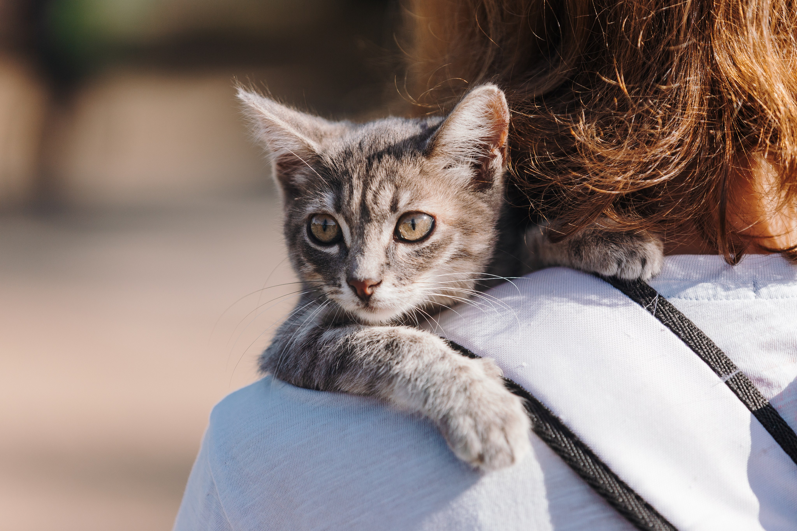 Petshop Sup day. Фотограф анималист Кристина Карпова, Москва
