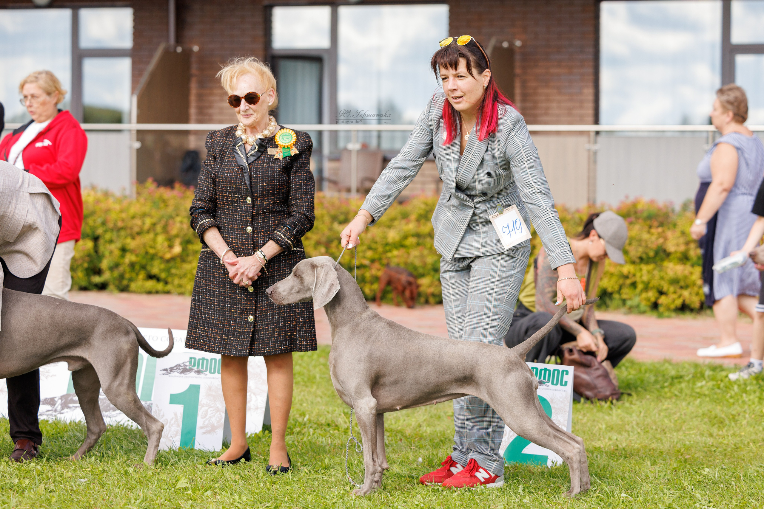 Переславль 5-7.08.2025. Фотограф-анималист Юлия Германика