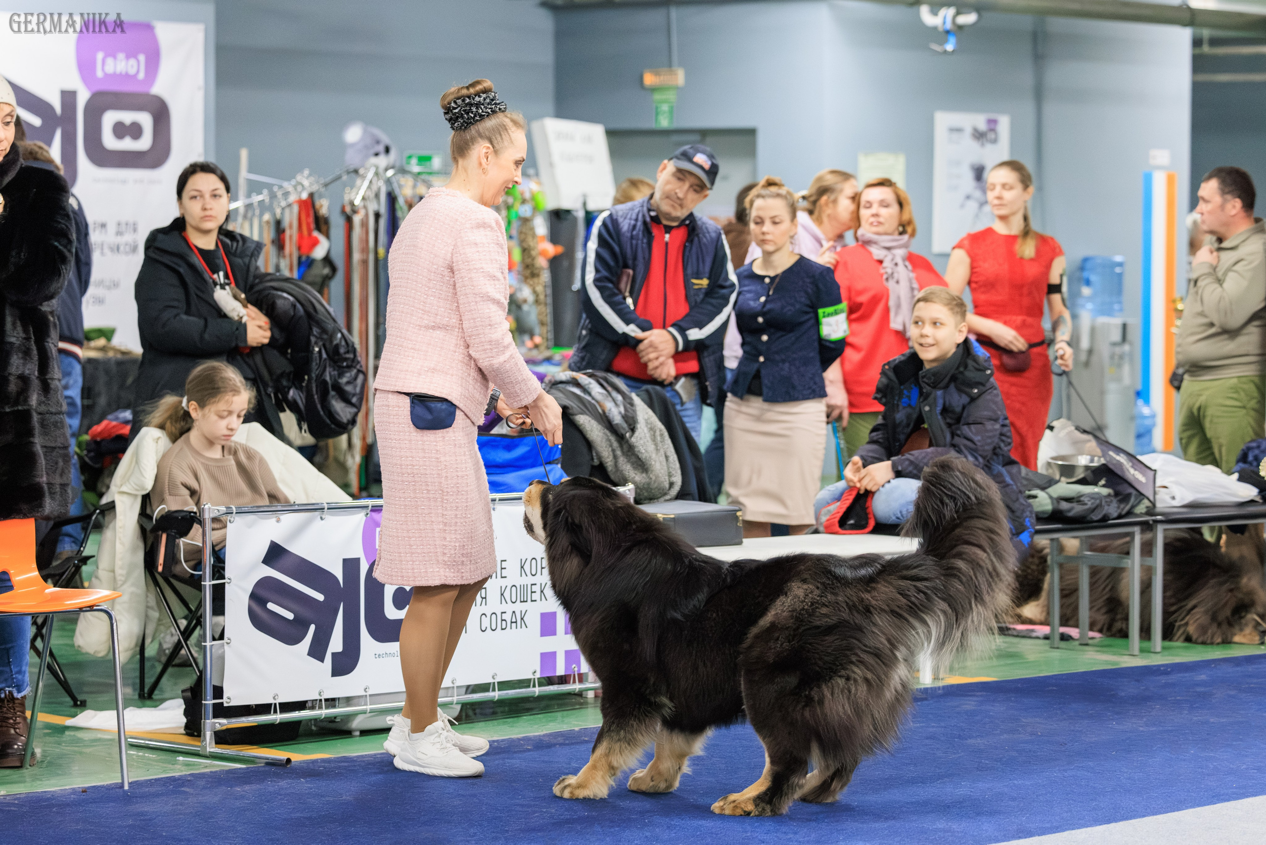 Сфера 08 и 10.03.2024 2хмоно ротвейлеров+2хмоно сао. Фотограф-анималист Юлия Германика