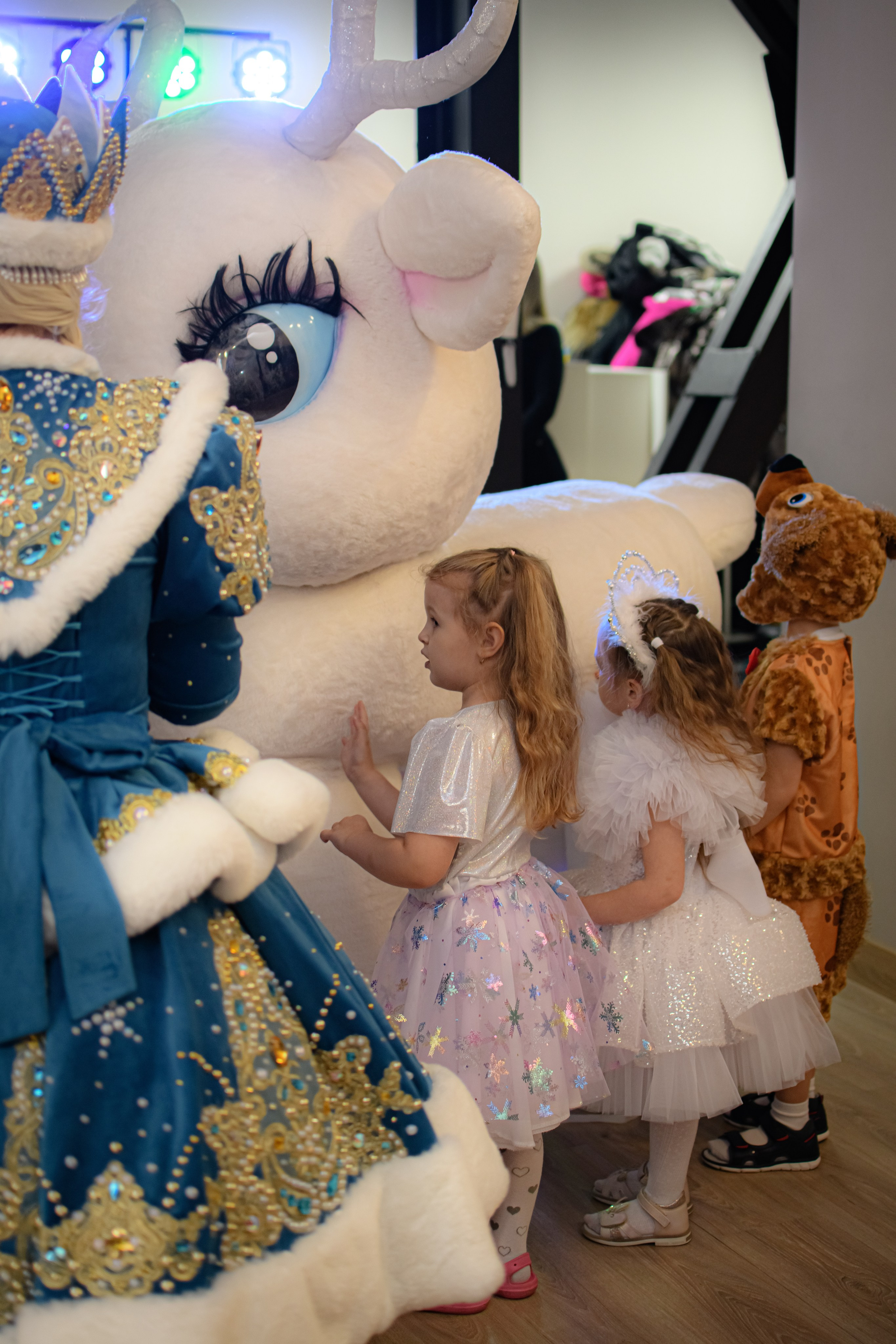 HAPPY NEW YEAR. Photokarish