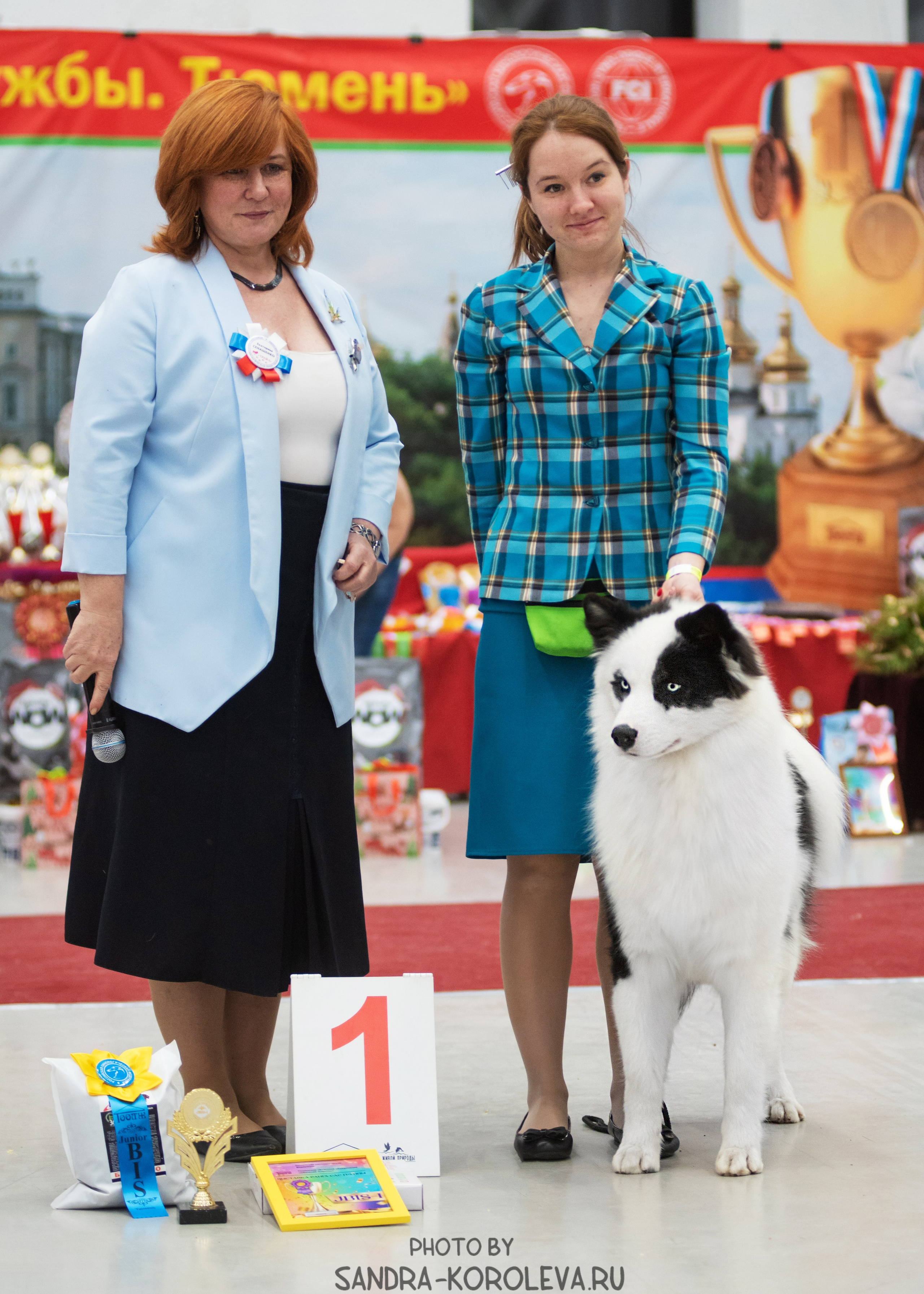 Выставка собак тюмень 10.12.2022. Дог-фотограф в Тюмени Александра Королева