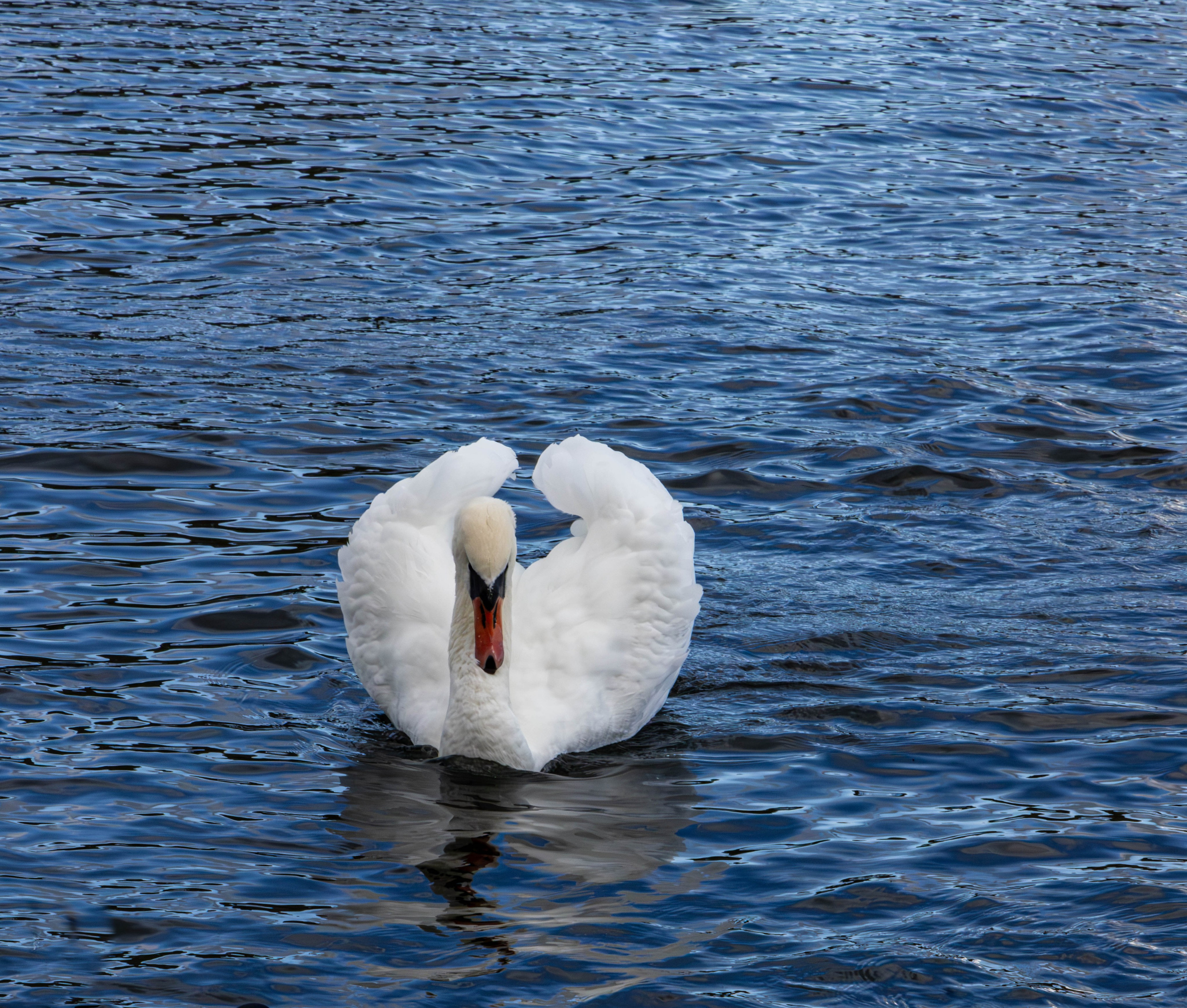 Архитектура и пейзажи. Главная