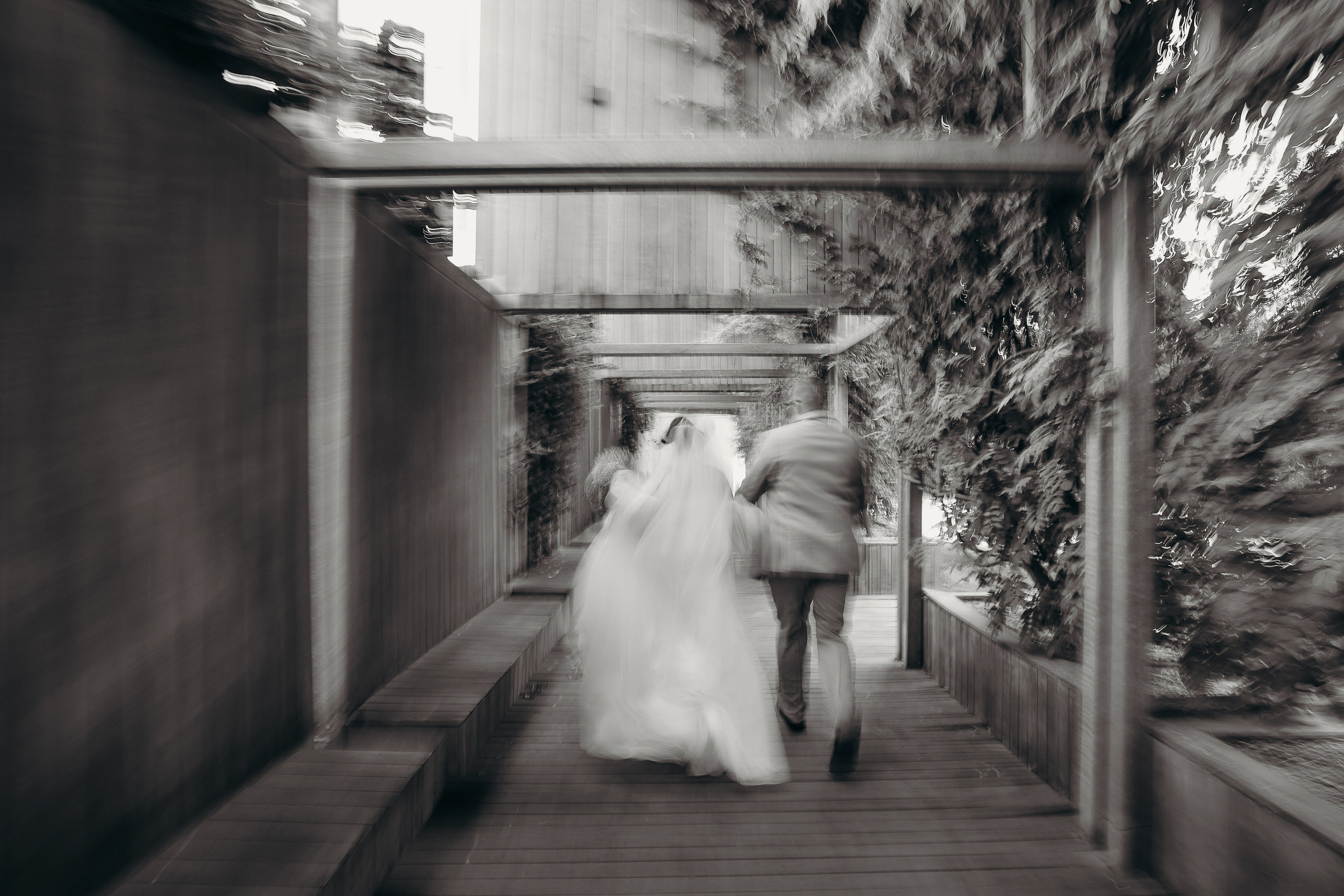 Свадебная прогулка в парке Галицкого 23.08.2024. Свадебный и семейный фотограф Виолетта Сидельникова. Краснодар, Россия, Беларусь, Европа