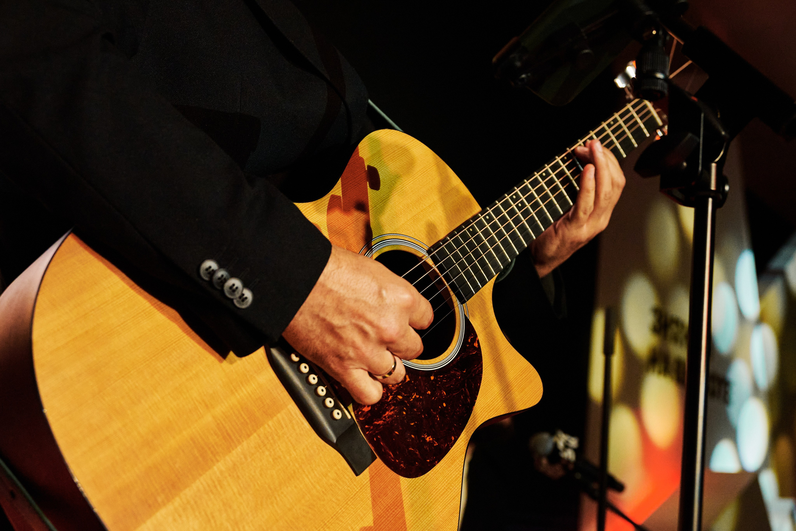 Репортаж концерта: группа «PulseBand». Репортажный фотограф | Леонид Черков