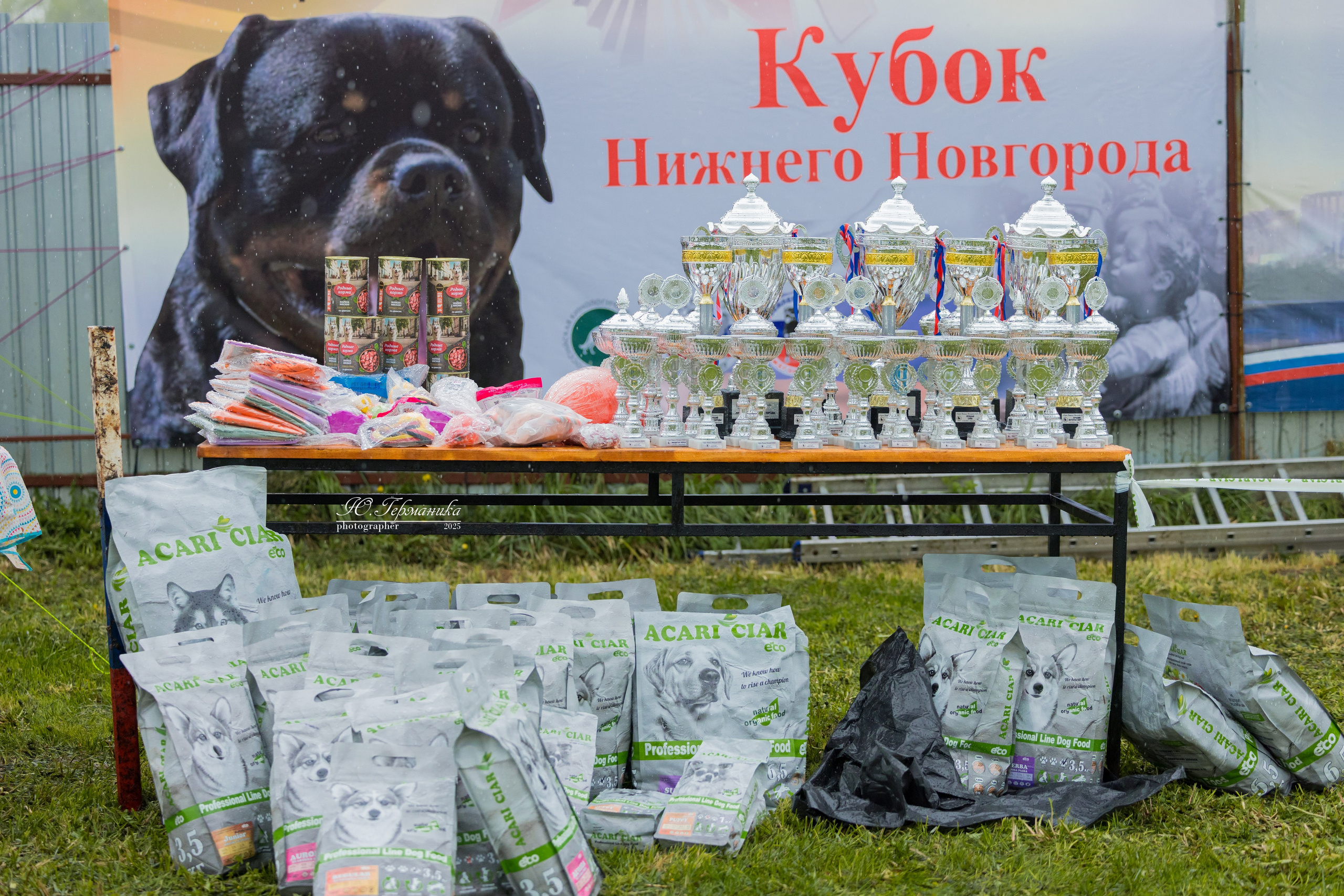 Нижний Новгород 2хмоно ротвейлеров 10-11.05.2025. Фотограф-анималист Юлия Германика