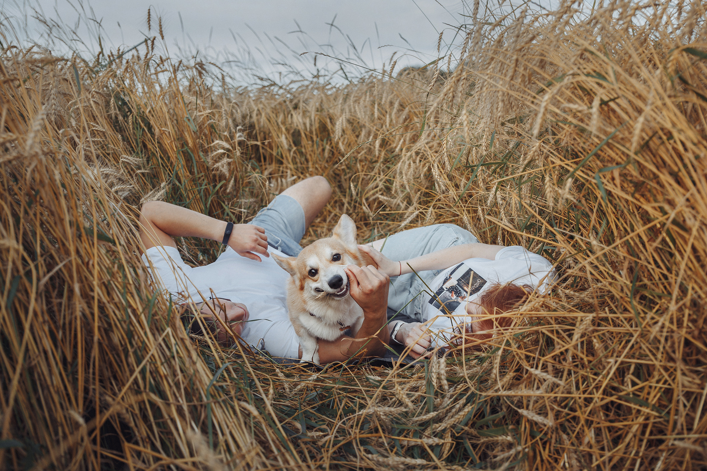 Летняя love-story в поле. Фотограф Марина Юдина. Подольск, Москва