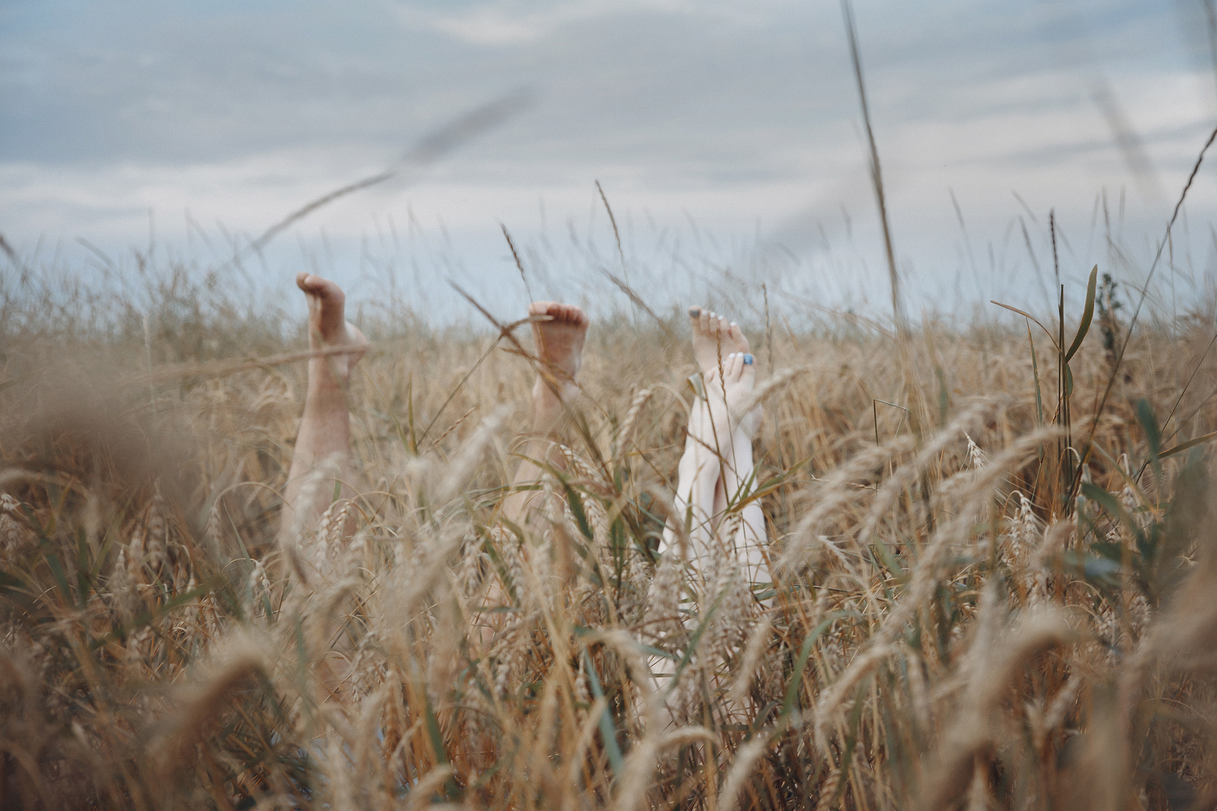 Летняя love-story в поле. Фотограф Марина Юдина. Подольск, Москва