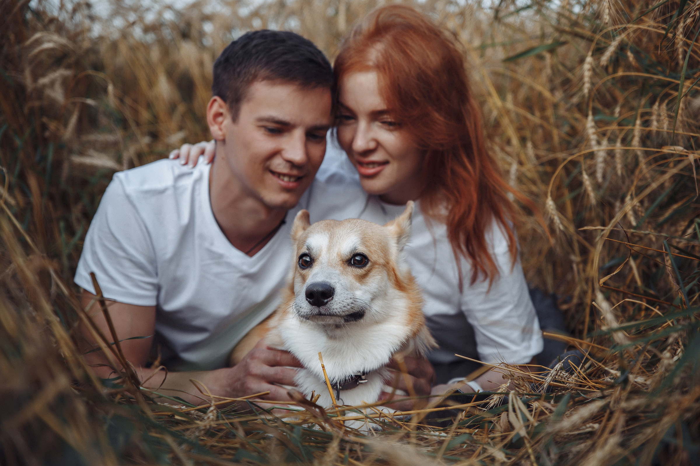 Летняя love-story в поле. Фотограф Марина Юдина. Подольск, Москва