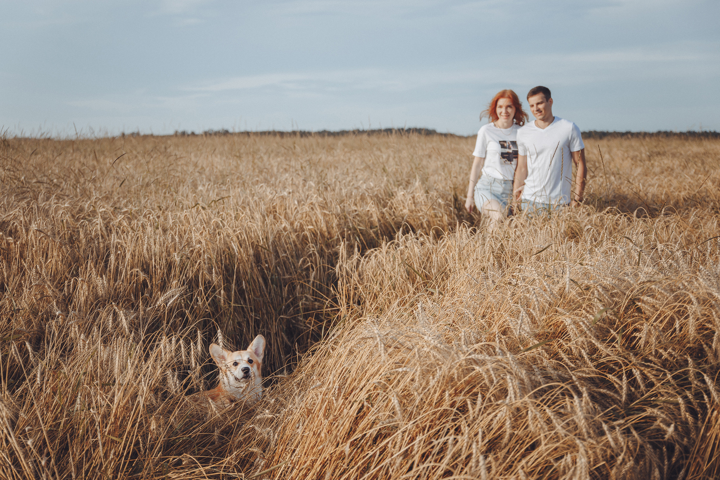 Летняя love-story в поле. Фотограф Марина Юдина. Подольск, Москва