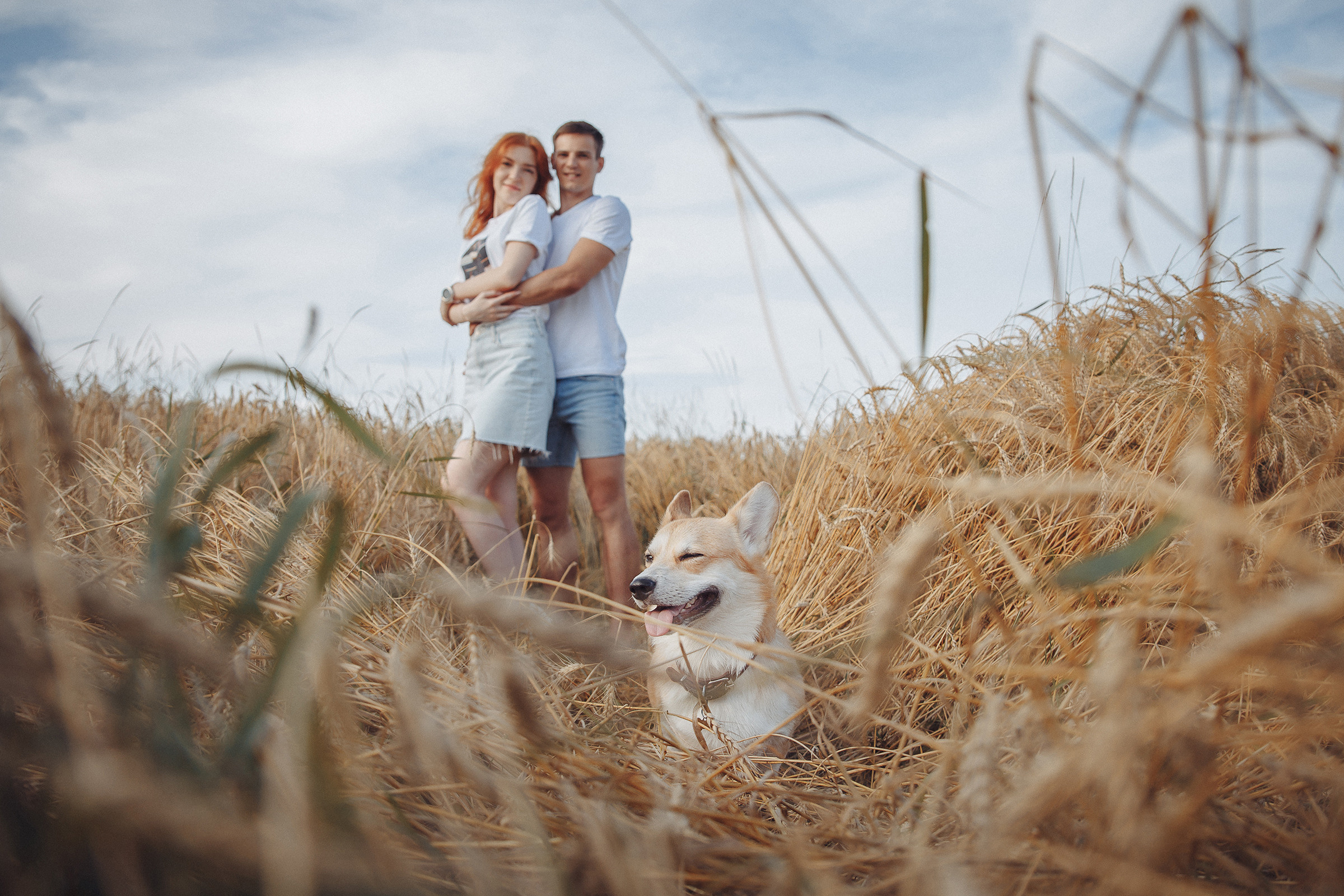Летняя love-story в поле. Фотограф Марина Юдина. Подольск, Москва