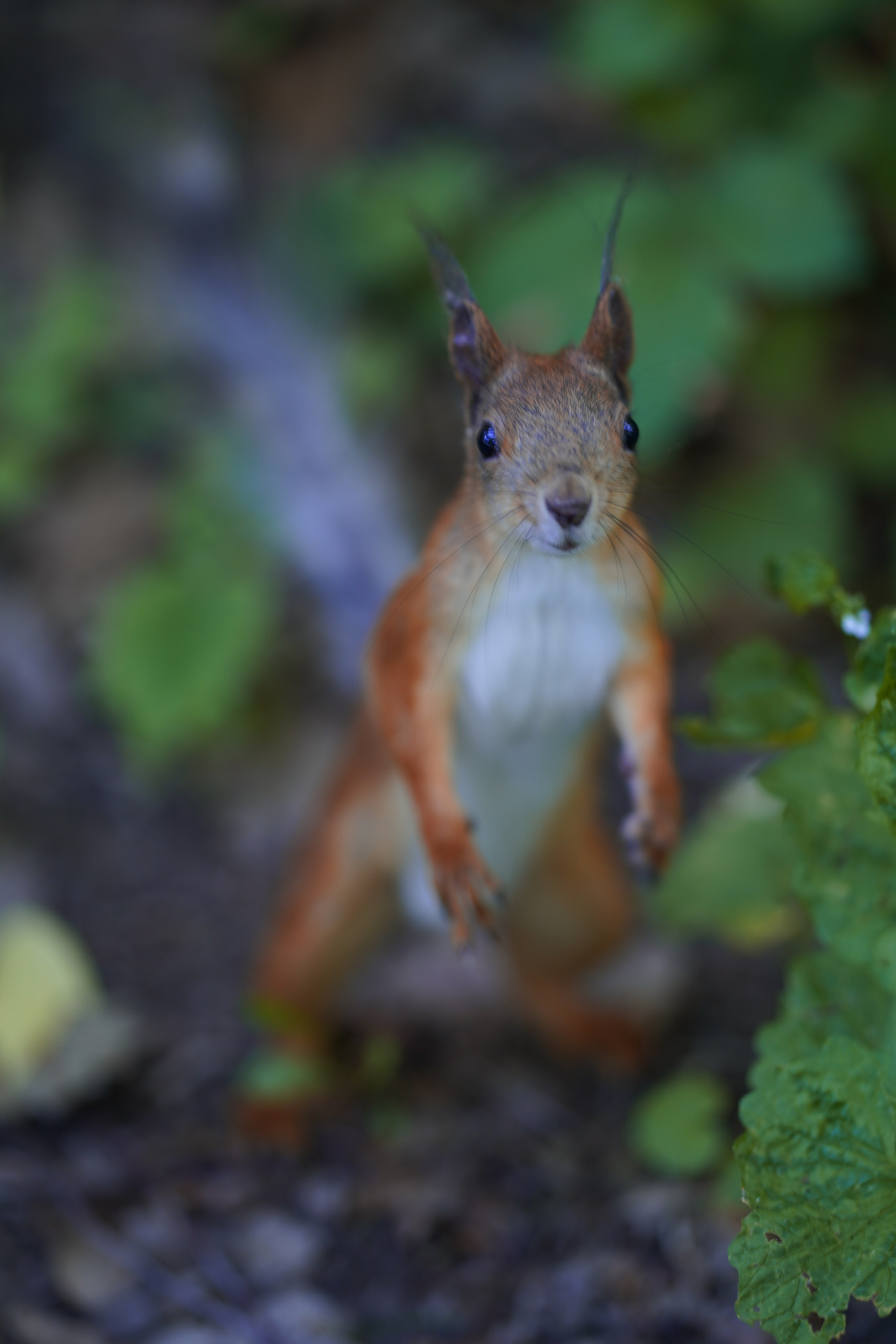 Природа. Фотограф в Москве Мария ~Zagagul~