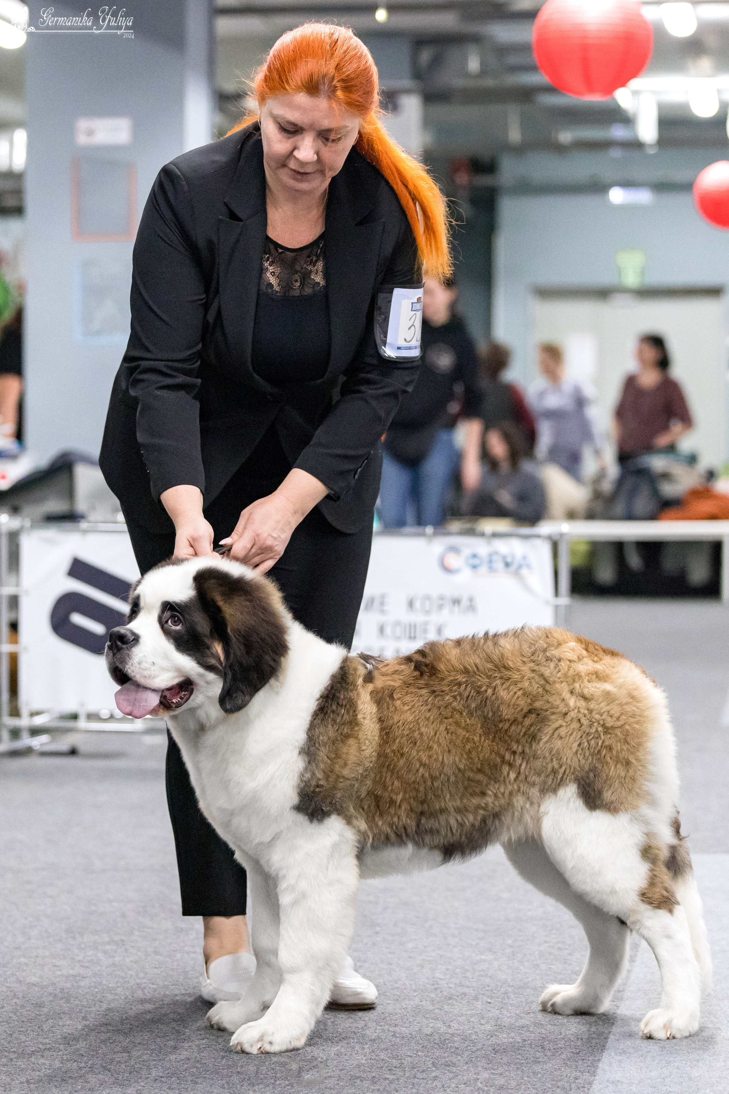 Сфера 28.01. и 4.02.2024. Фотограф-анималист Юлия Германика