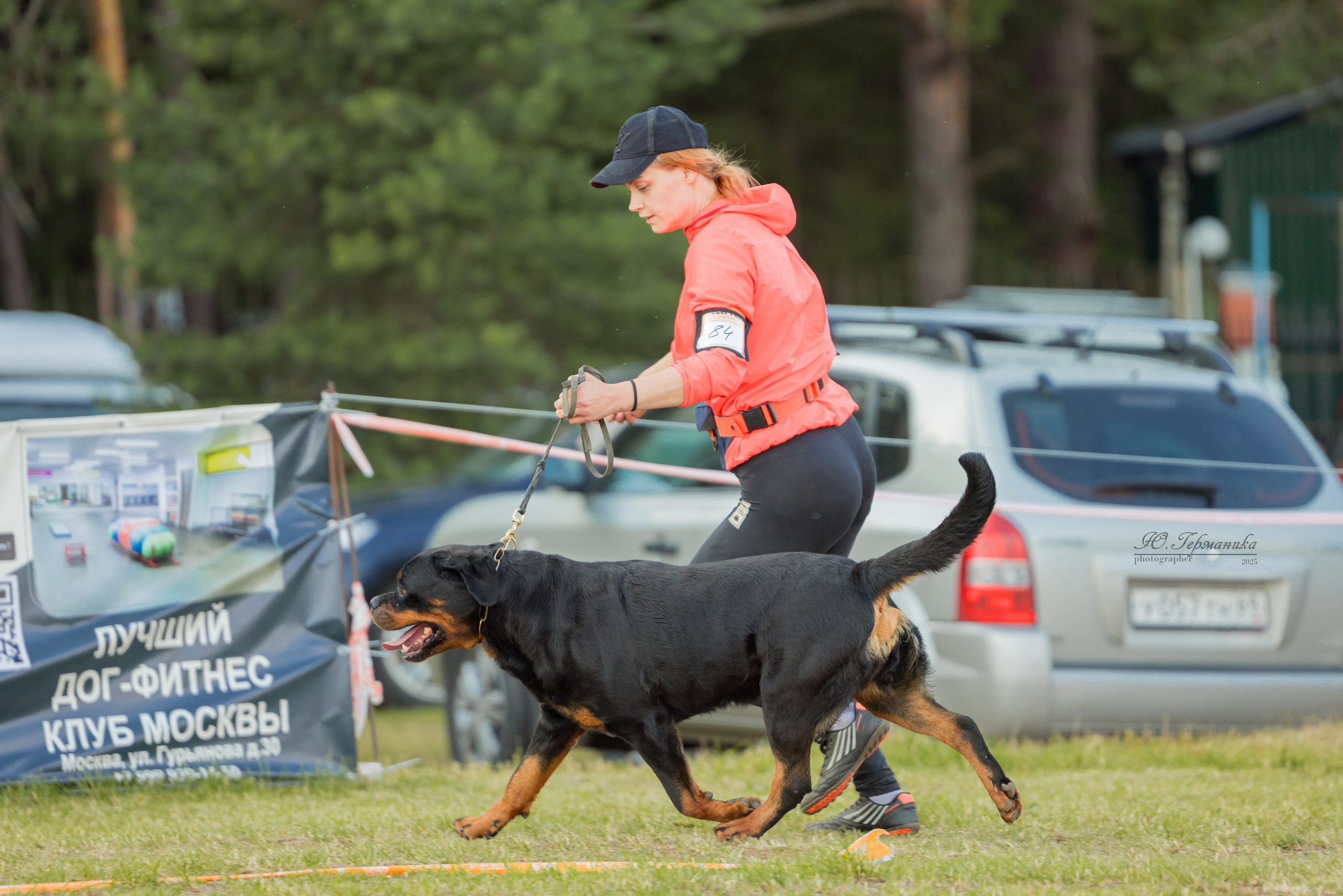 Тверь ротвейлеры 5-6.07.2025. Фотограф-анималист Юлия Германика