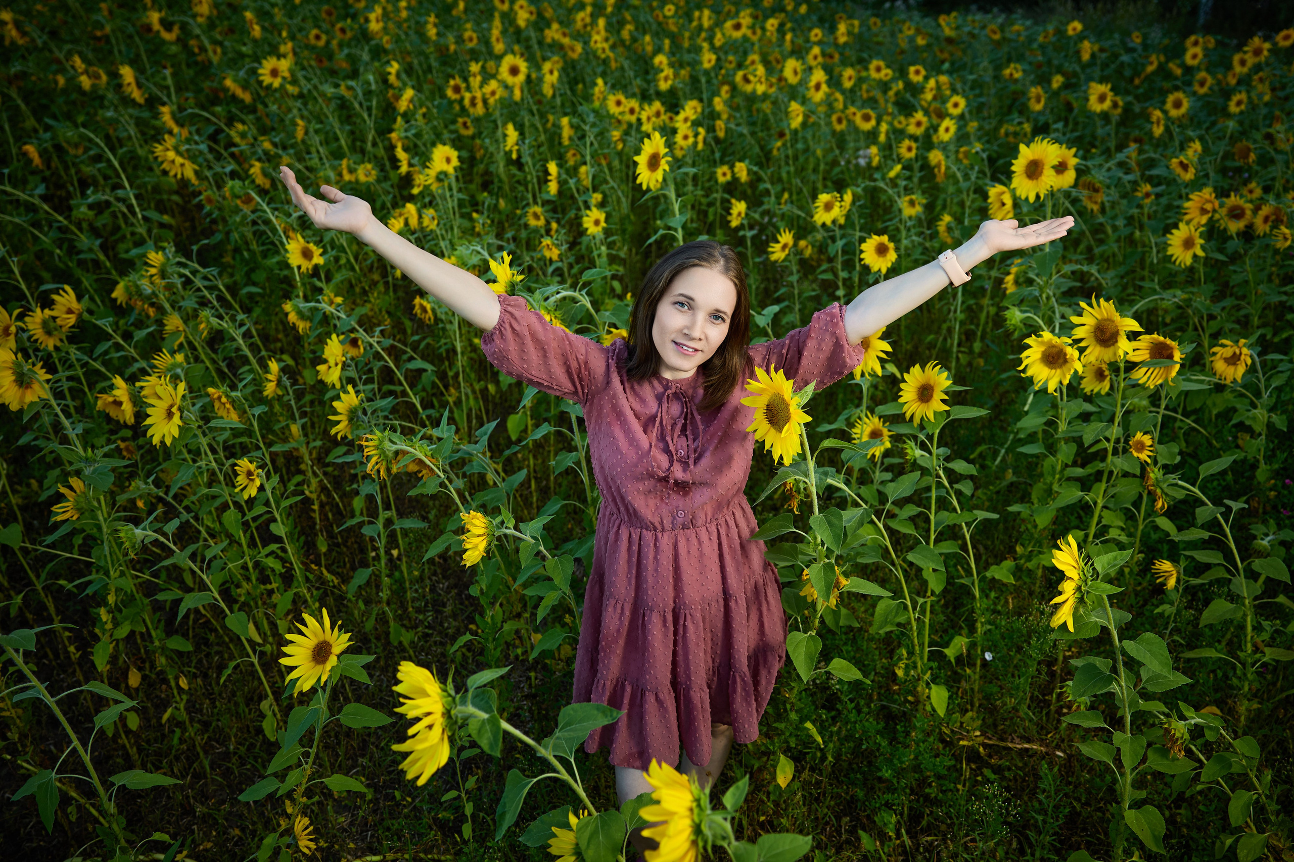 Подсолнухи. Разножанровый Фотограф в Омске Артём Руднев