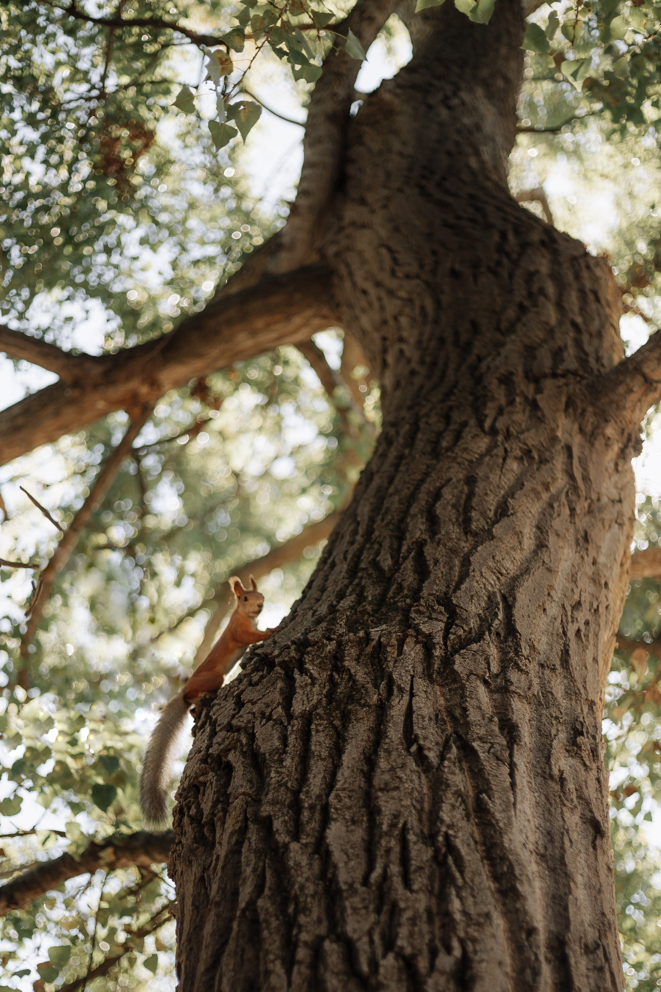 Матвею 1 год. Фотограф в Крыму | Виктория Нотевская