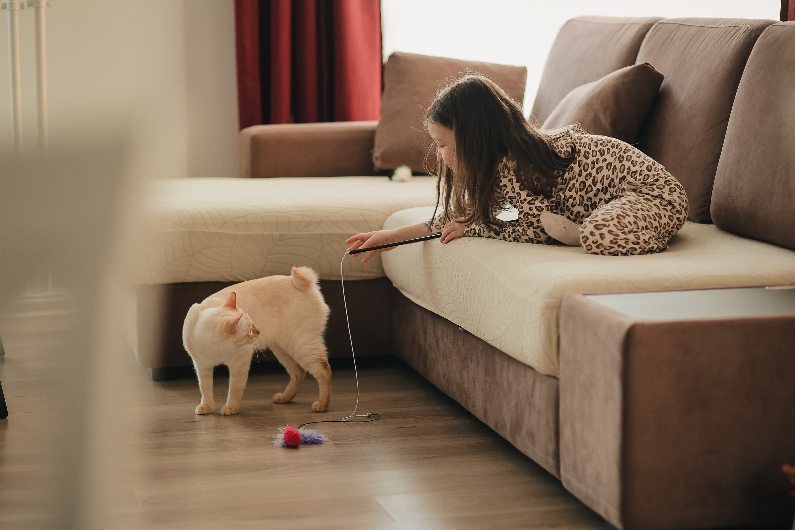 Девочка играет с котом домашнее фото