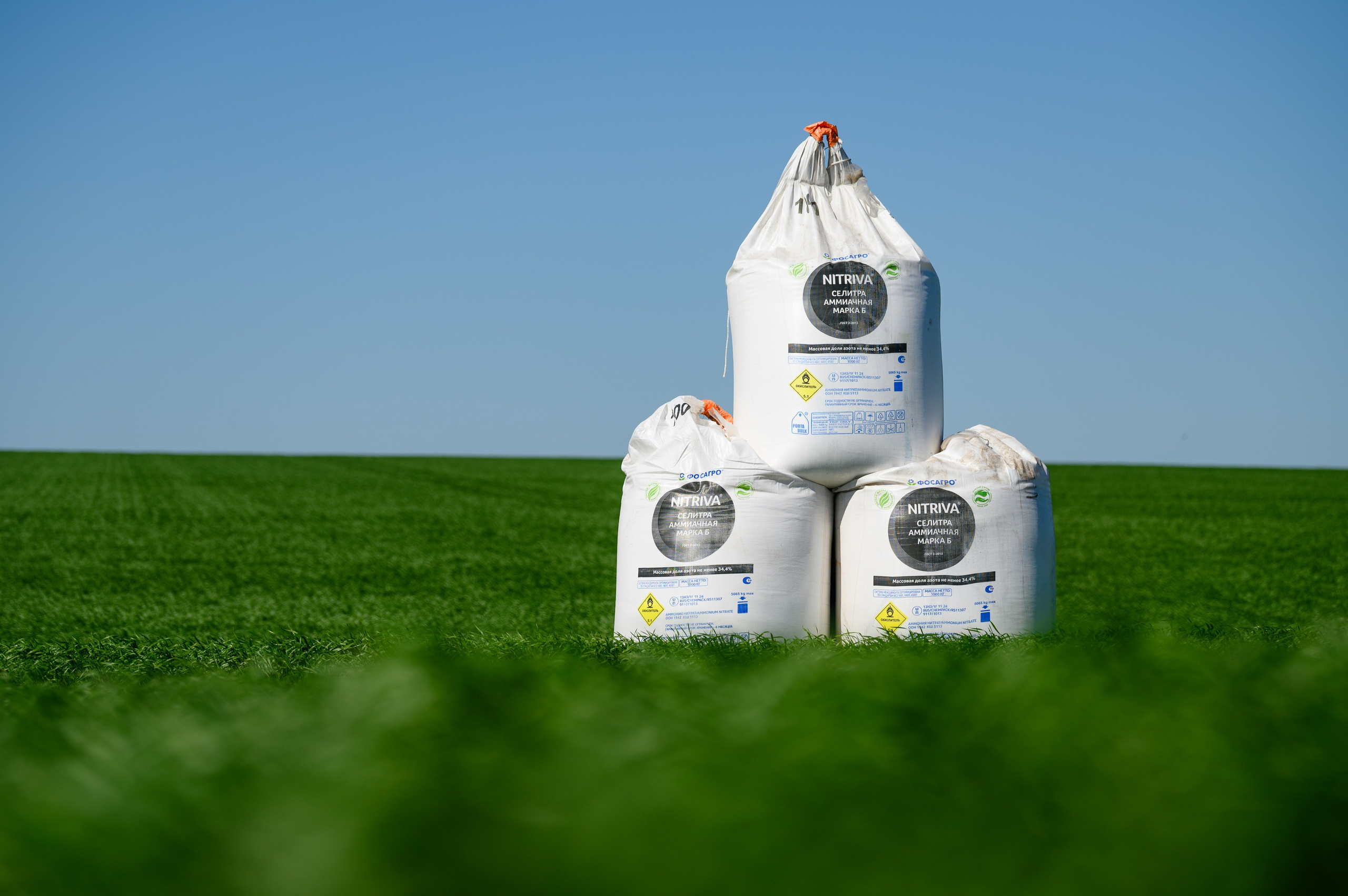 Проекты. Профессиональный фотограф Вячеслав Плацында | Липецк |