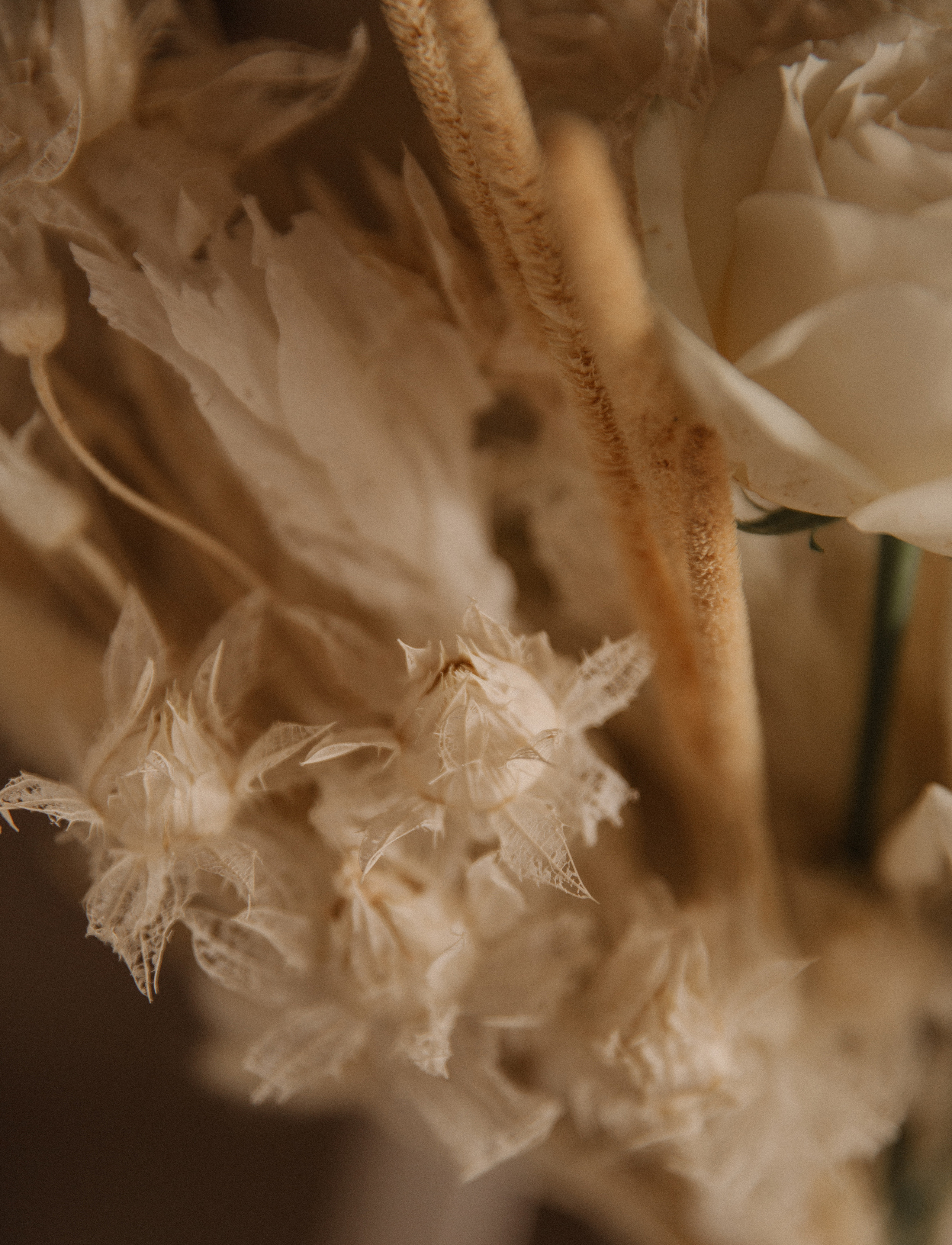 Анна & Денис. Фотограф в Краснодаре и Краснодарском крае