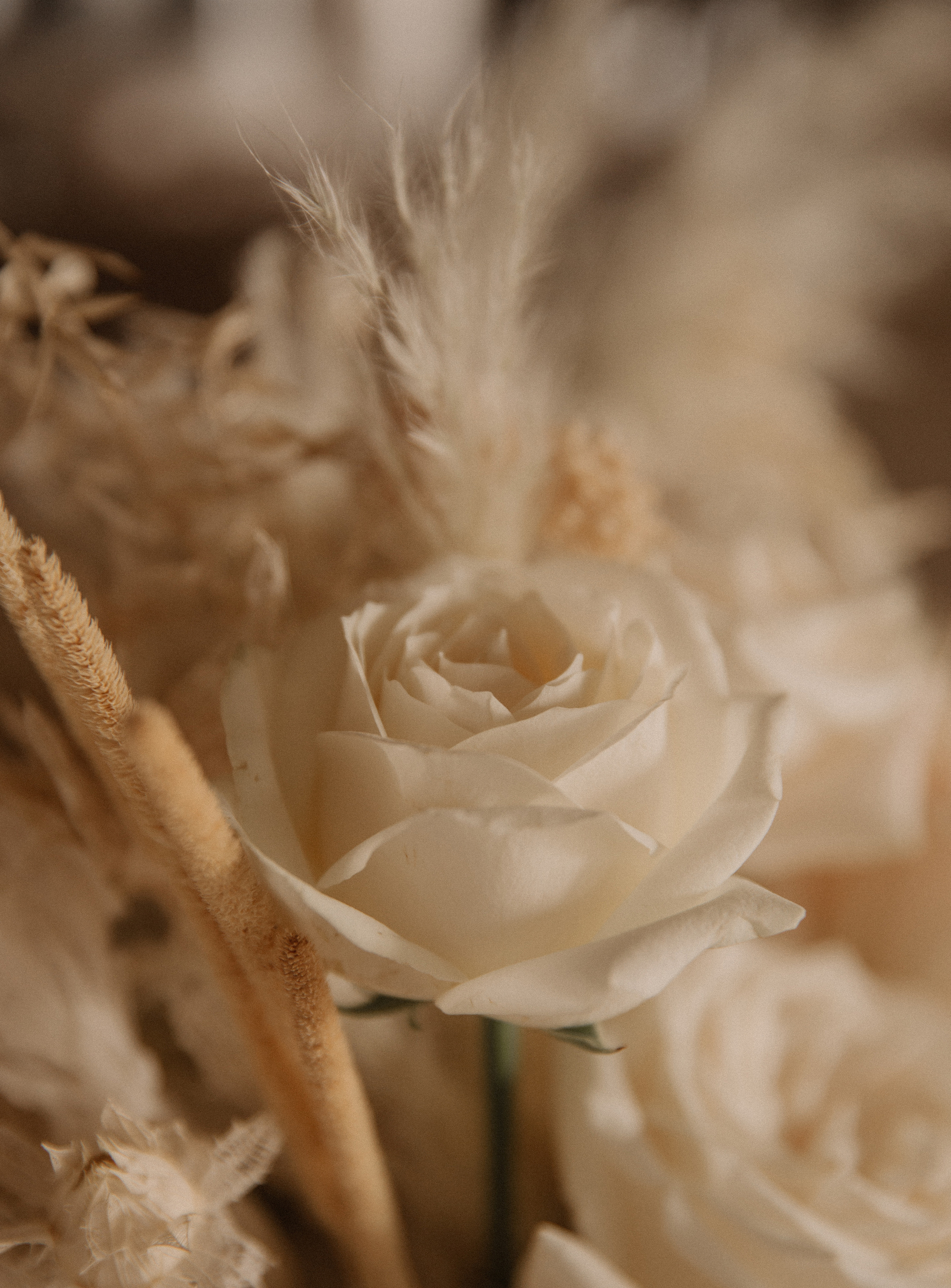 Анна & Денис. Фотограф в Краснодаре и Краснодарском крае