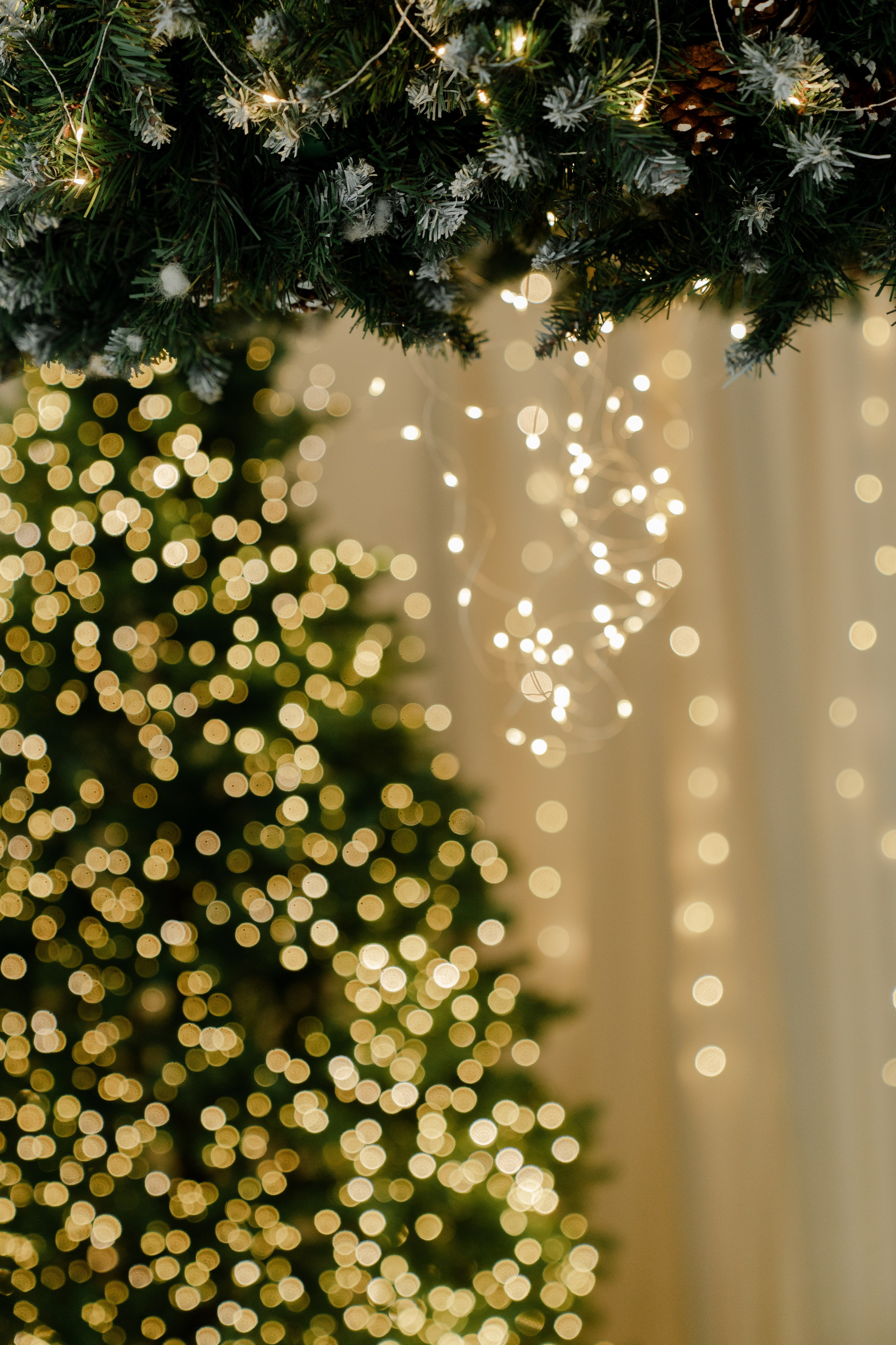 Фотопроекты