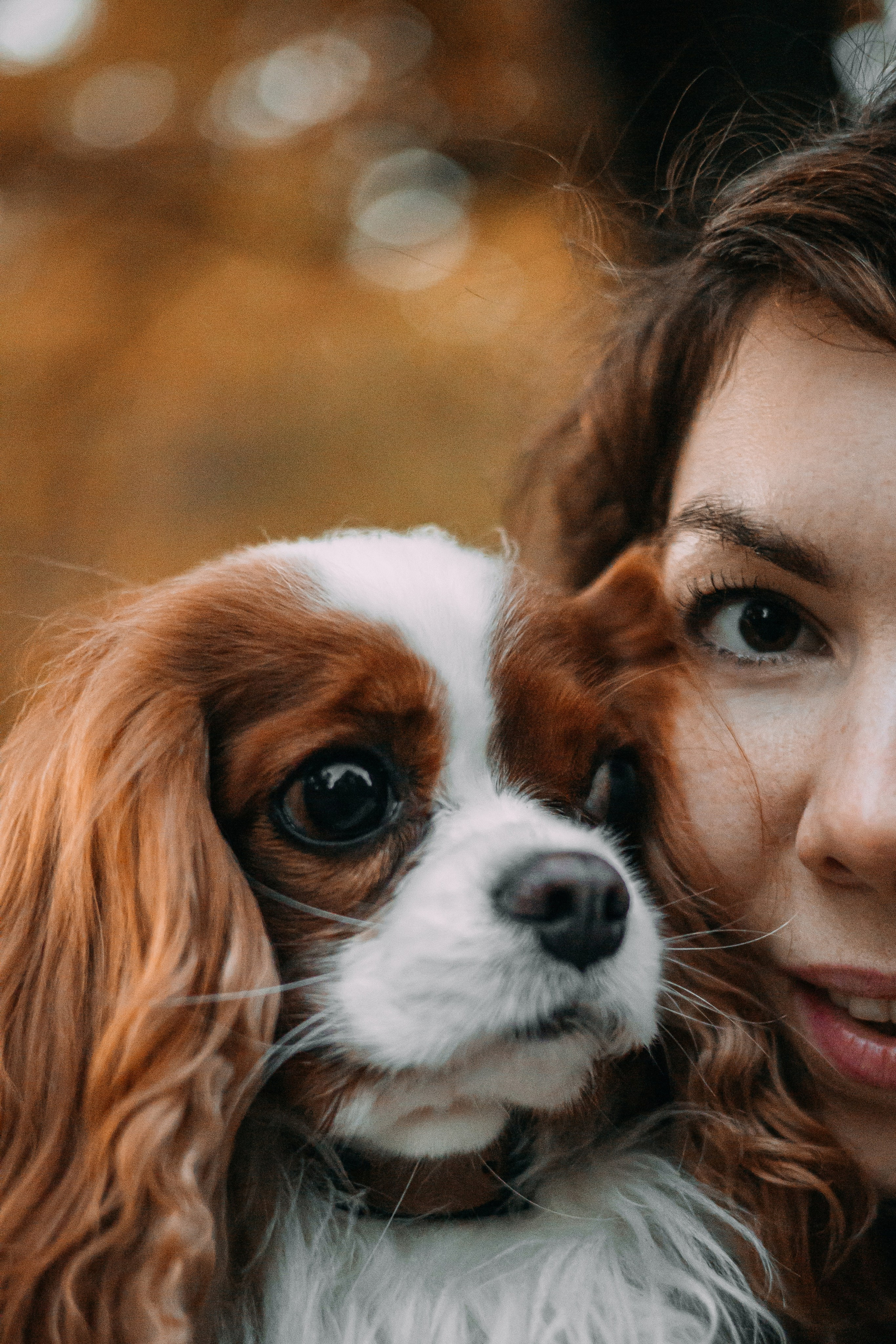 Снежанна и Тесси. Фотограф — анималист •love-story•|Санкт-Петербург