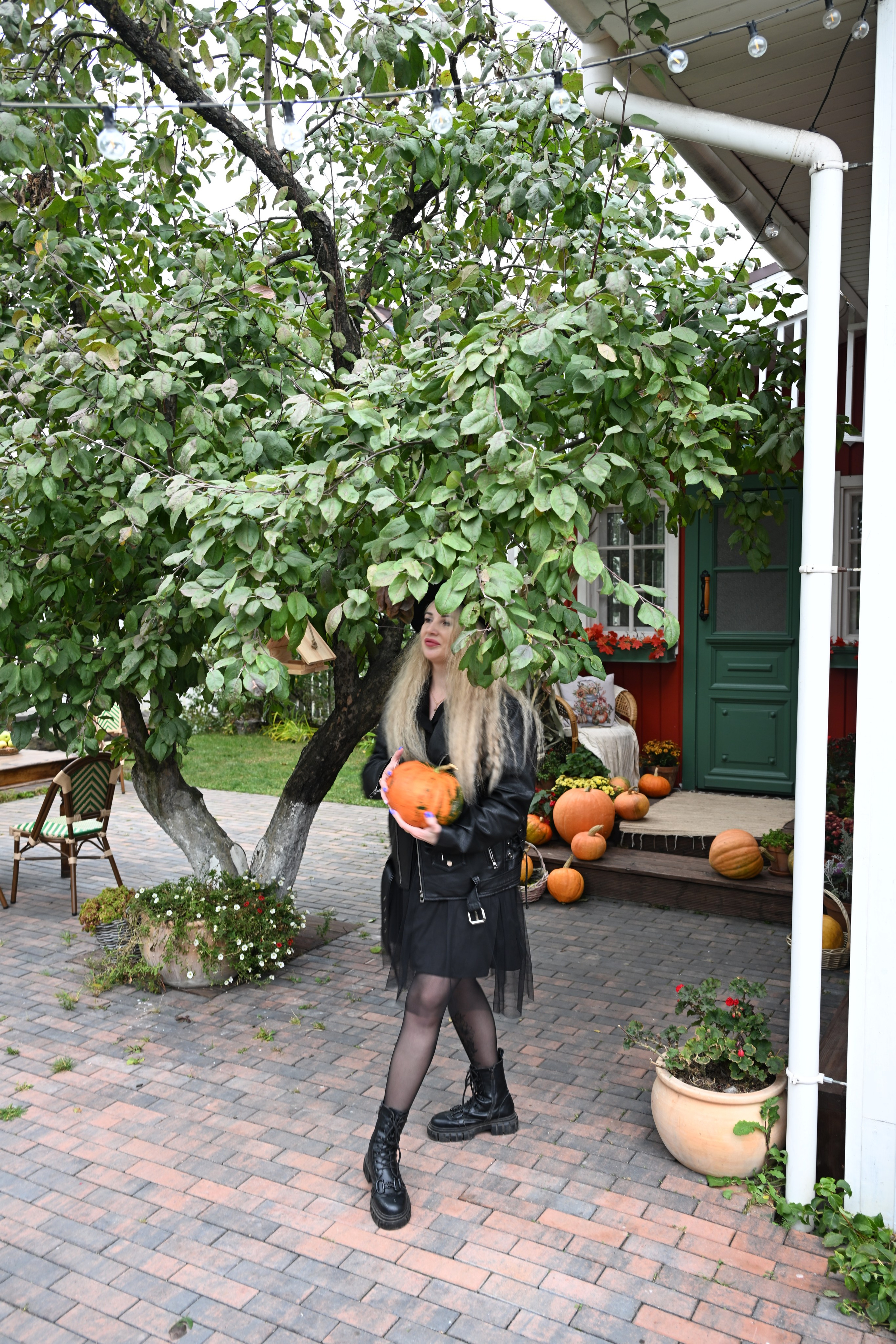 РЕГИНА ОСЕНЬ. Фотограф в Санкт-Петербурге Сафронов Николай