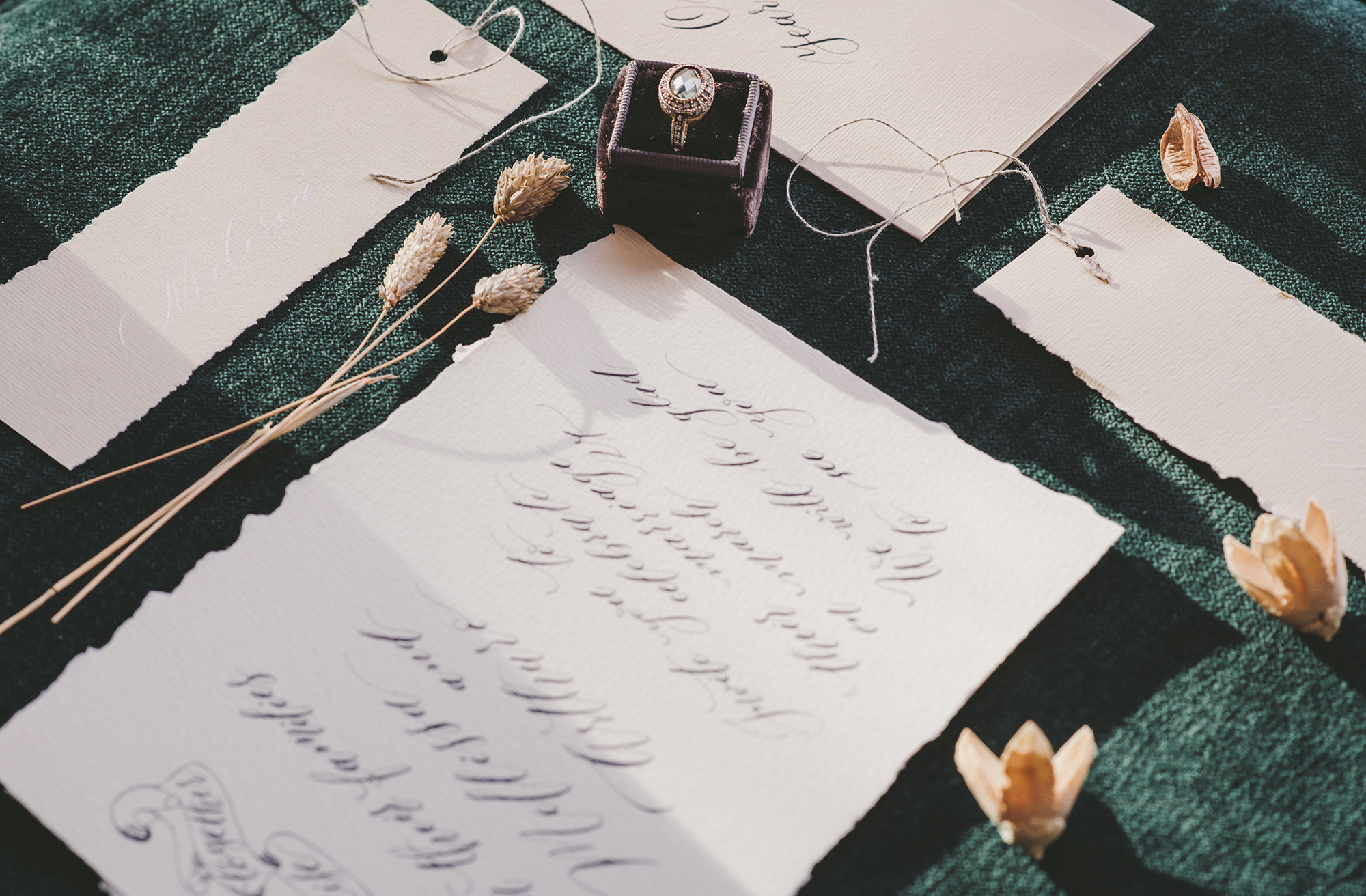 25.02.2020. Фотограф-видеограф в Москве Катерина Веневская