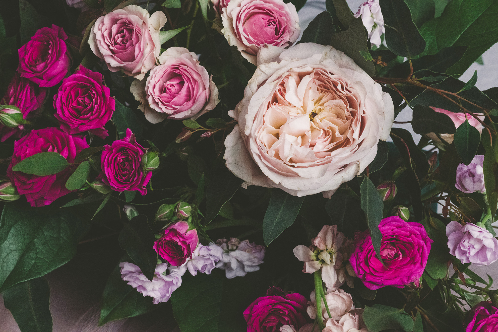 Marichi decor. Фотограф-видеограф в Москве Катерина Веневская