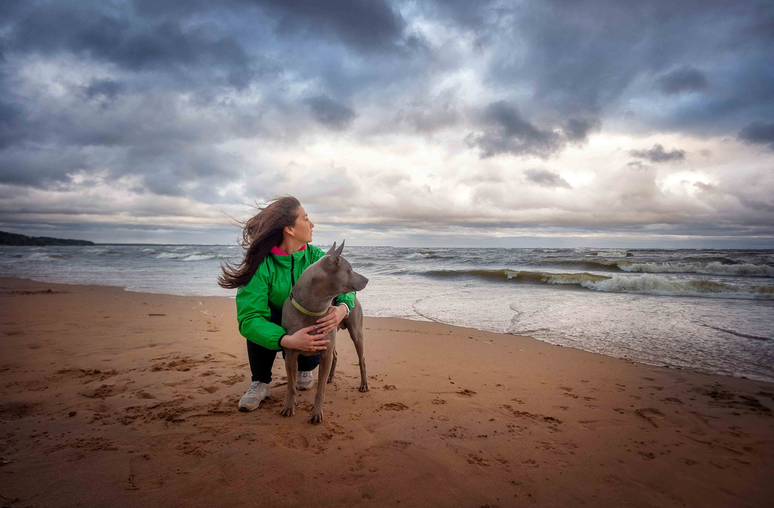 Фото с домашними питомцами. Портретная и свадебная фотосъемка. Москва и область