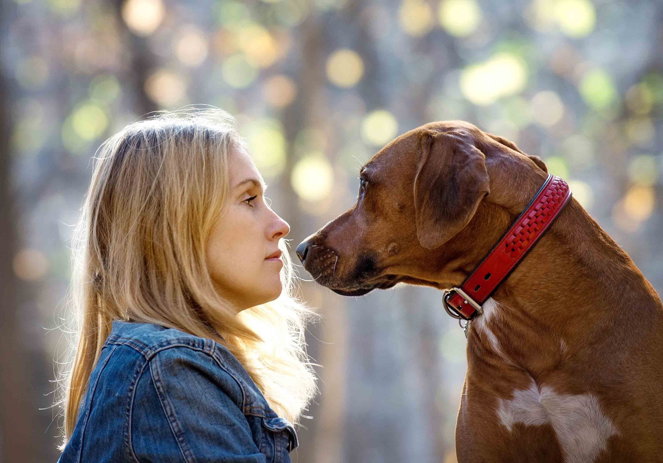 Фото с домашними питомцами. Портретная и свадебная фотосъемка. Москва и область