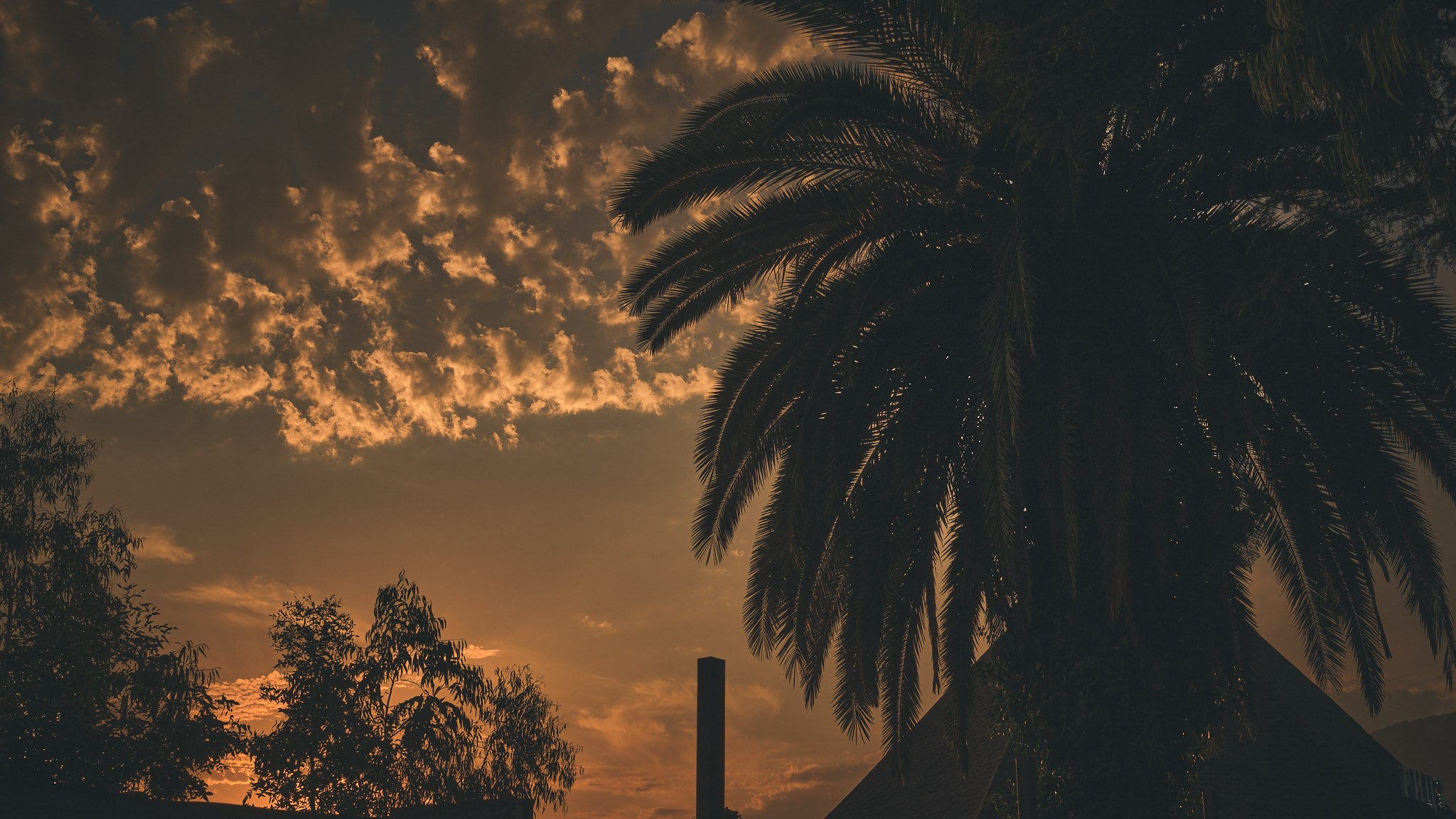 Фотограф Владимир Кононенко