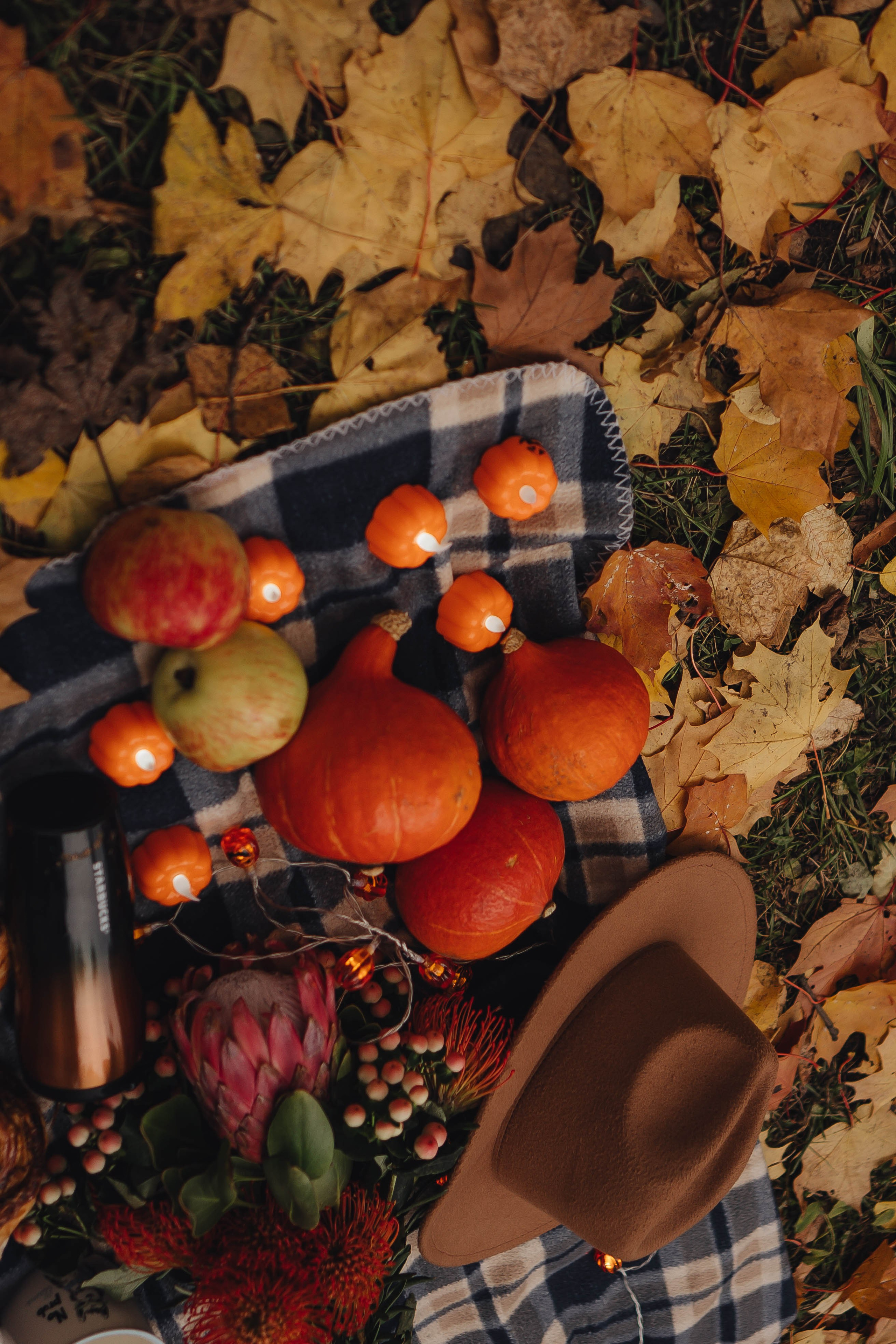 Осень. Профессиональный фотограф, Санкт-Петербург — Виктория Богомолова