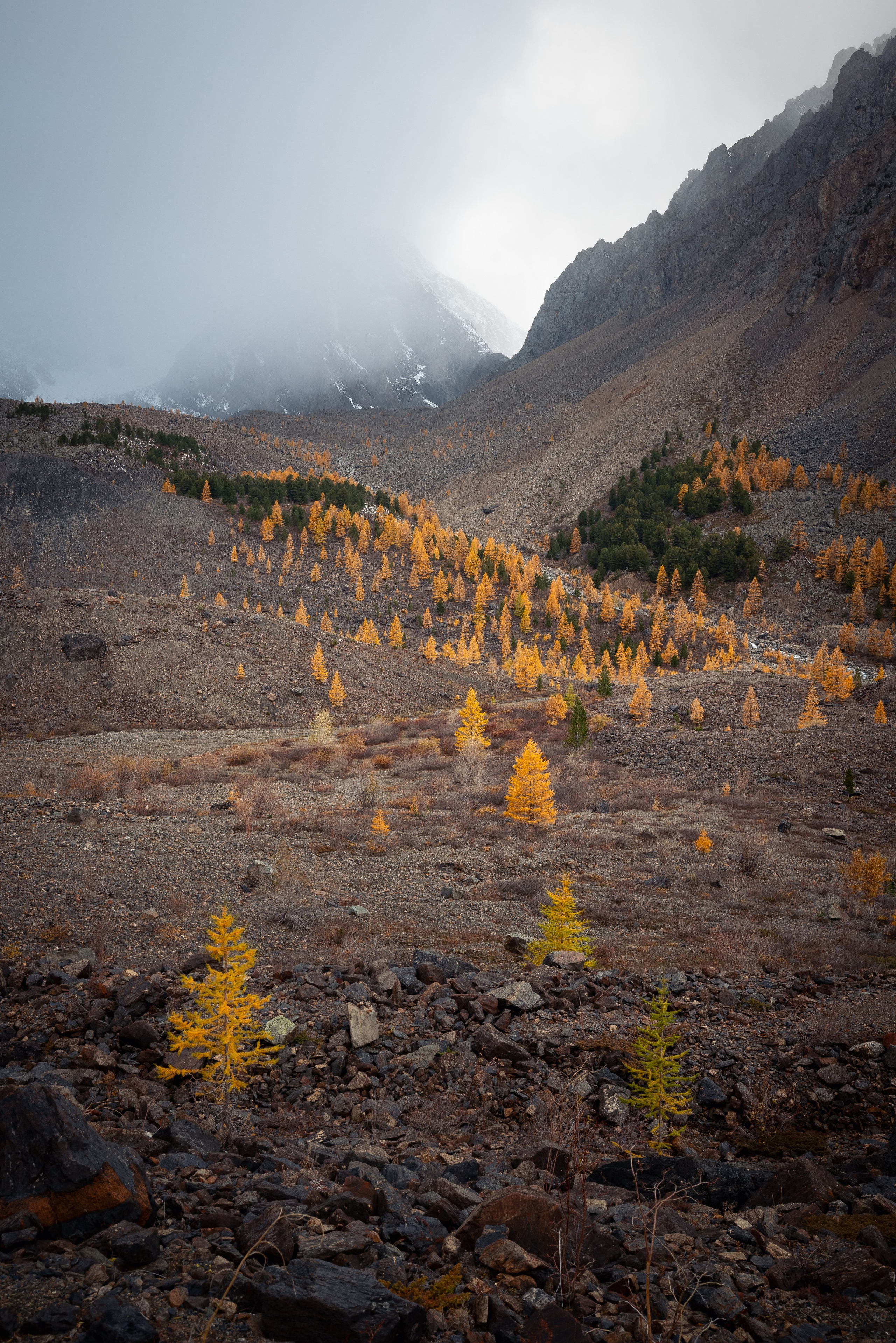 Горный Алтай. Фотограф Антон Денисенко: Портрет, Документалистика, Пейзаж. Москва