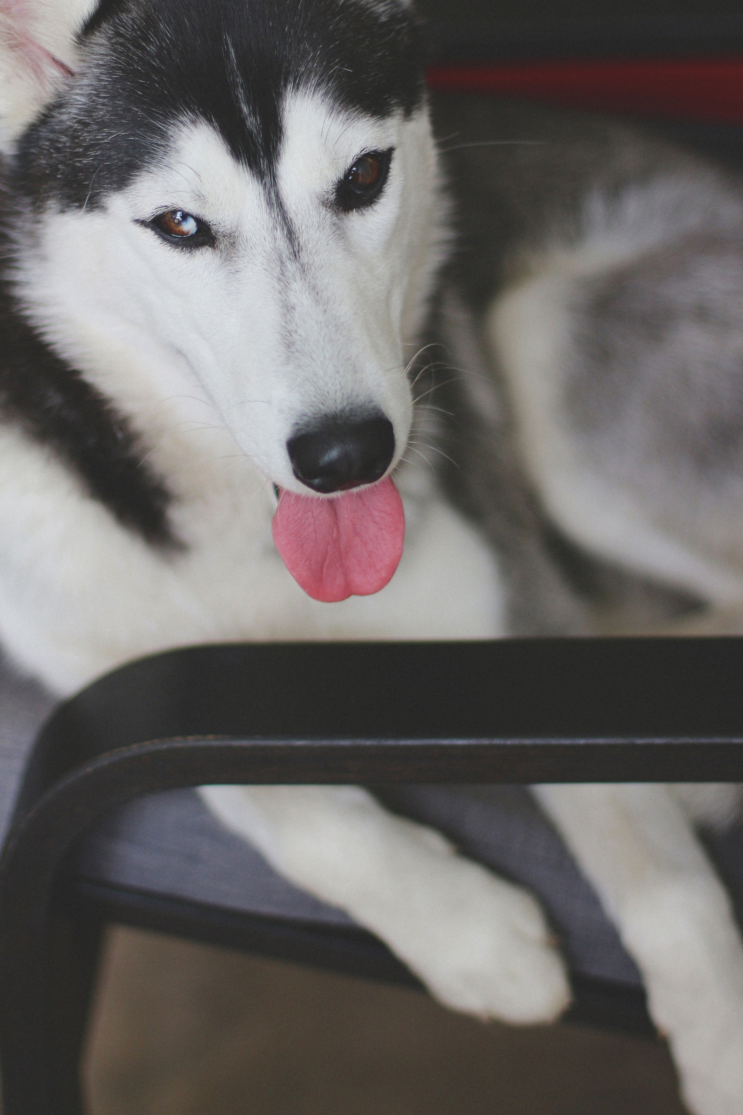 Марта. Фотограф Адигамова Юлия в Петербурге