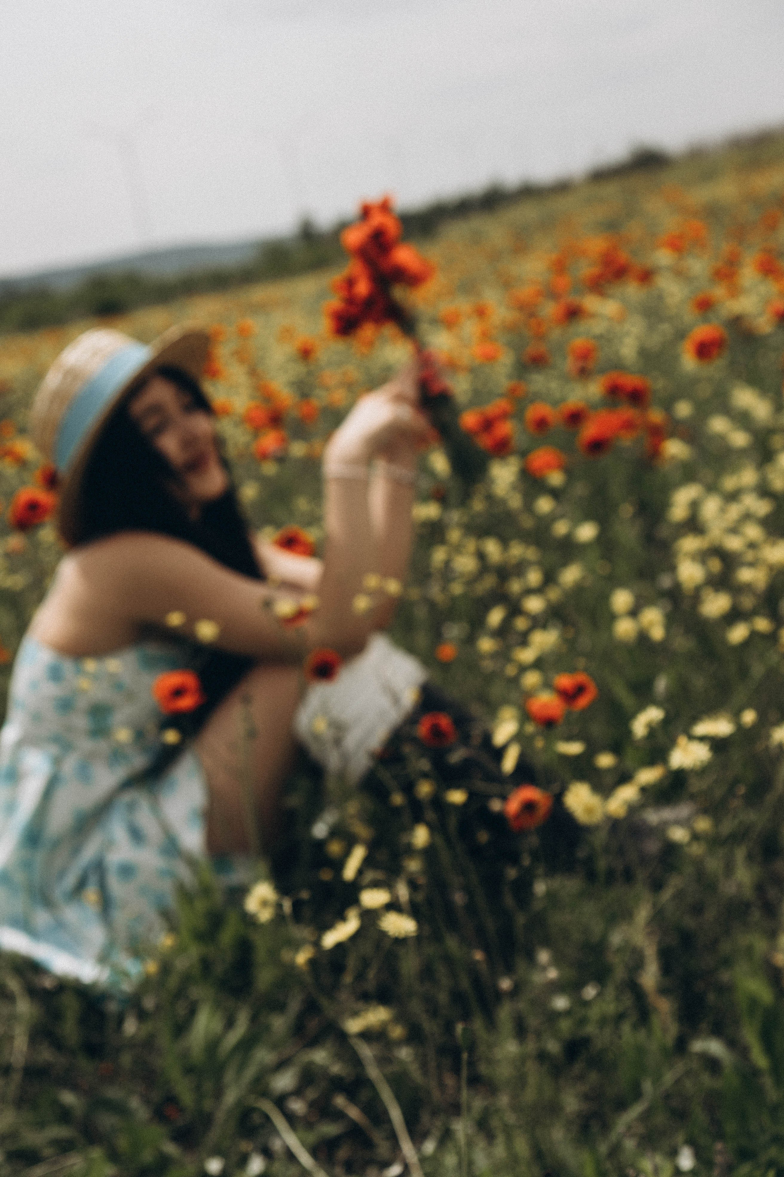 Цветочная поляна. Профессиональный фотограф, Санкт-Петербург — Виктория Богомолова