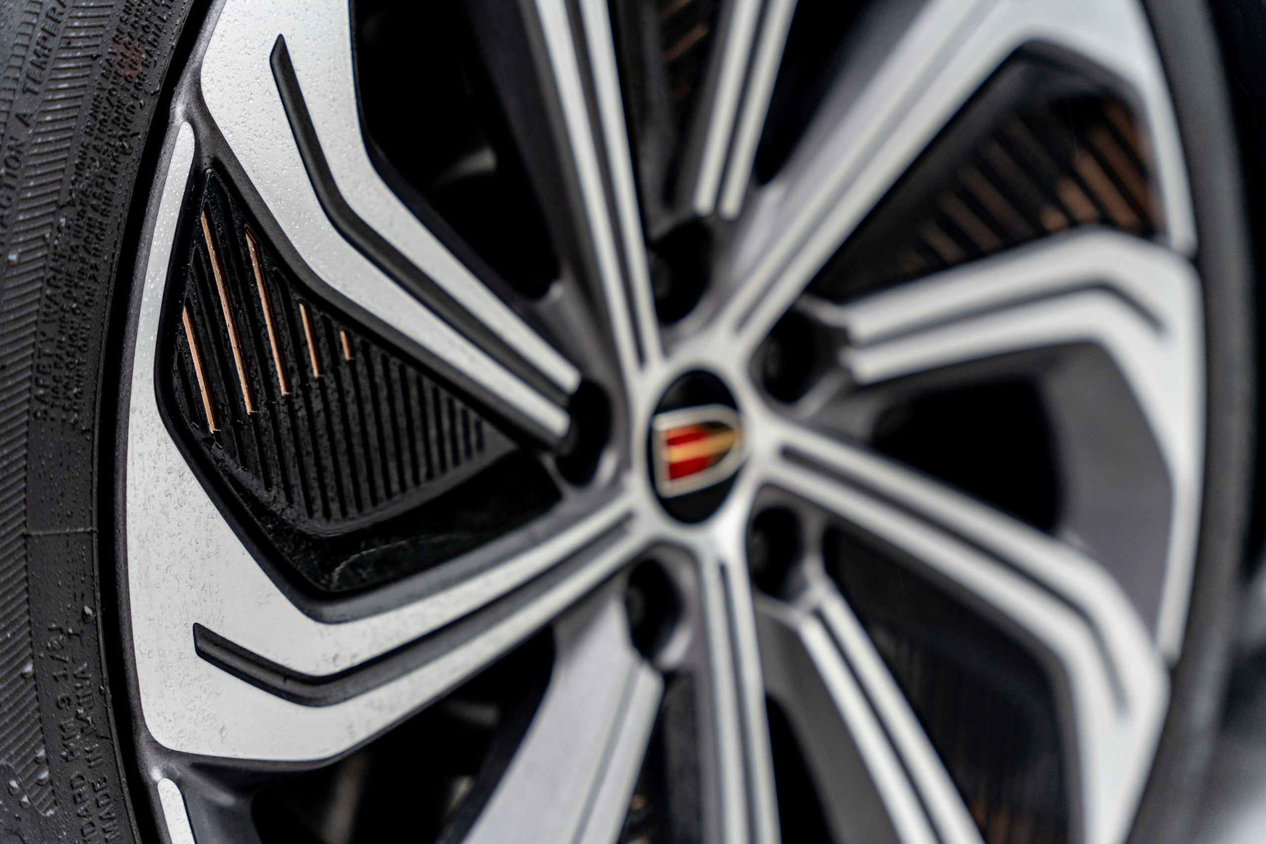 Hongqi E-HS9. Станислав Тюрин Фотограф Москва. Индивидуальные и семейные фотосессии;