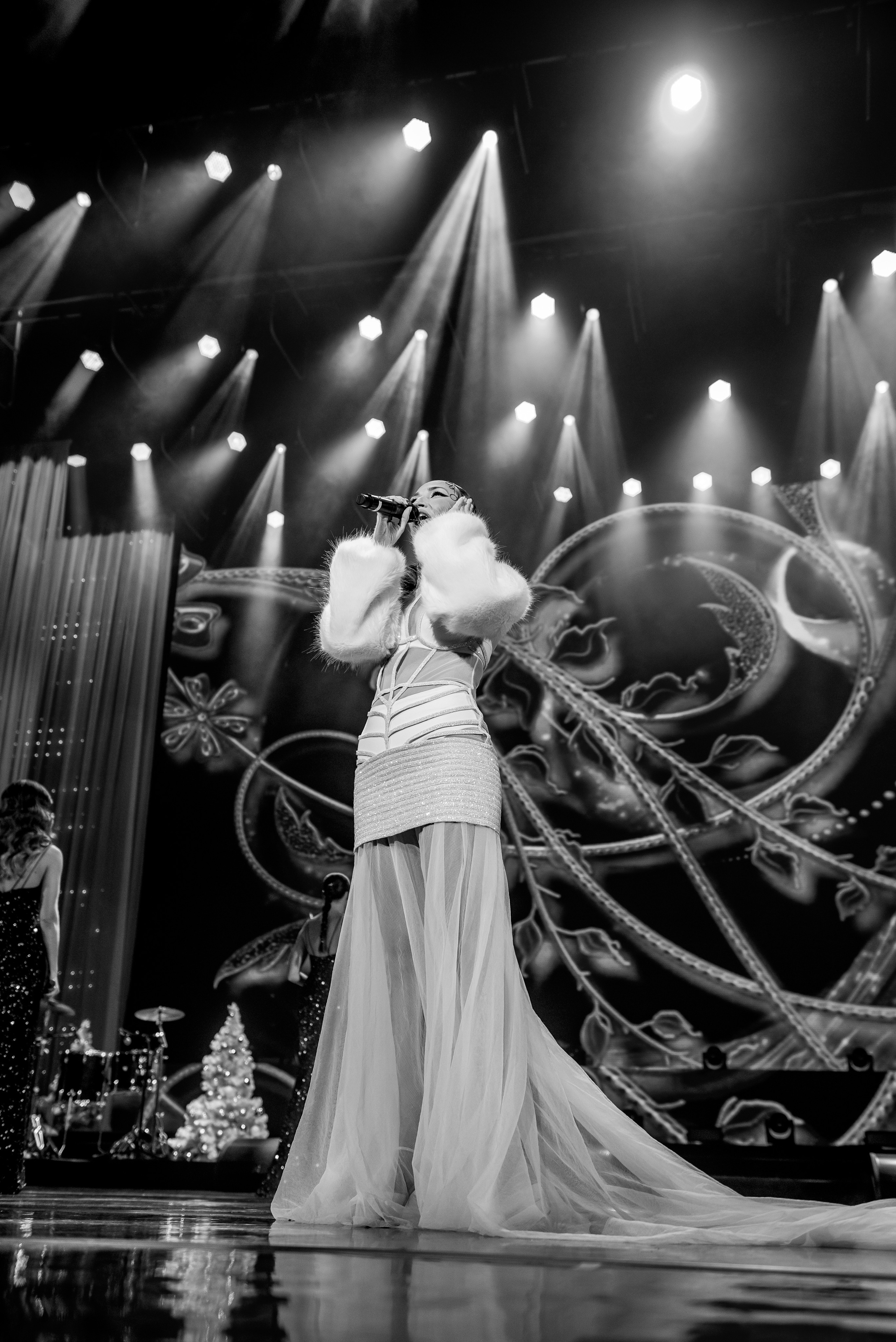 Концерт SOPRANO Турецкого в Кремле. Станислав Тюрин Фотограф Москва. Индивидуальные и семейные фотосессии;