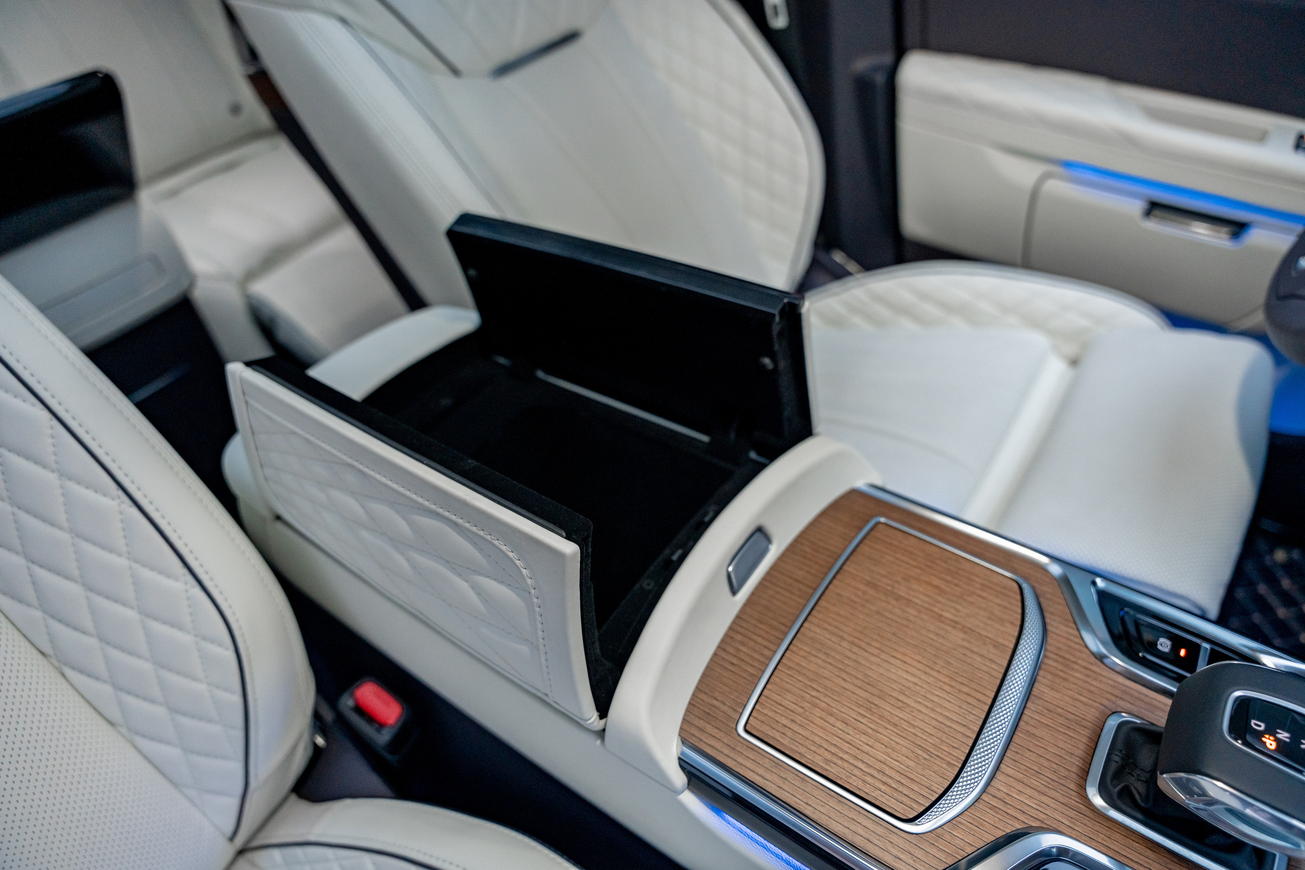 Hongqi E-HS9. Станислав Тюрин Фотограф Москва. Индивидуальные и семейные фотосессии;